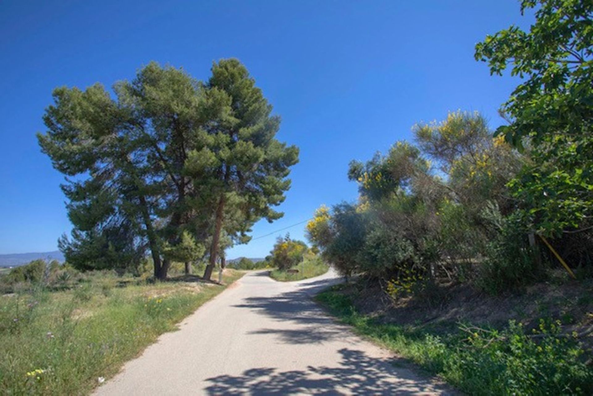 casa no Cártama, Andalusia 10996217