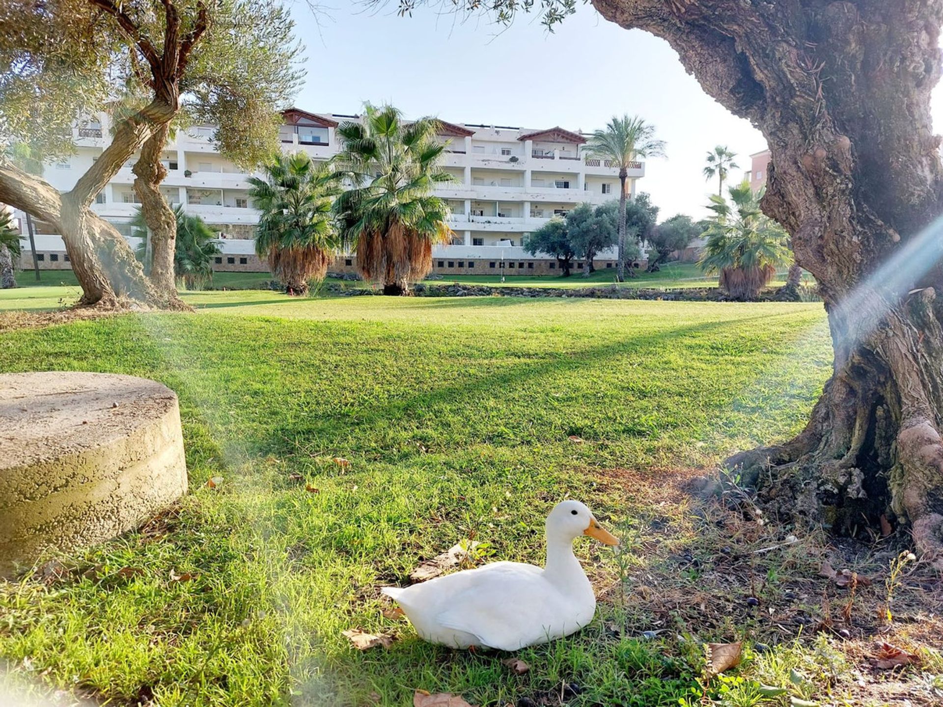 Osakehuoneisto sisään Benalmádena, Andalucía 10996494