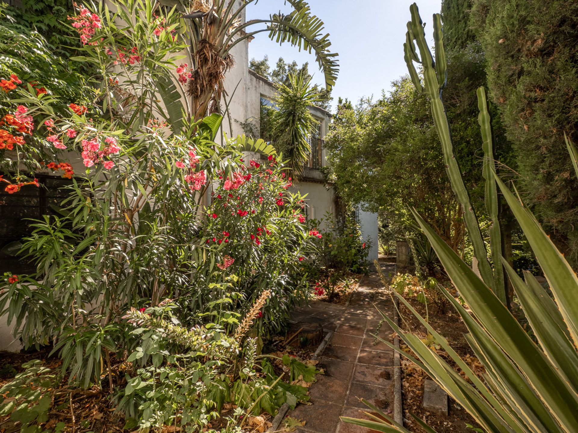 House in Casares, Andalusia 10996610