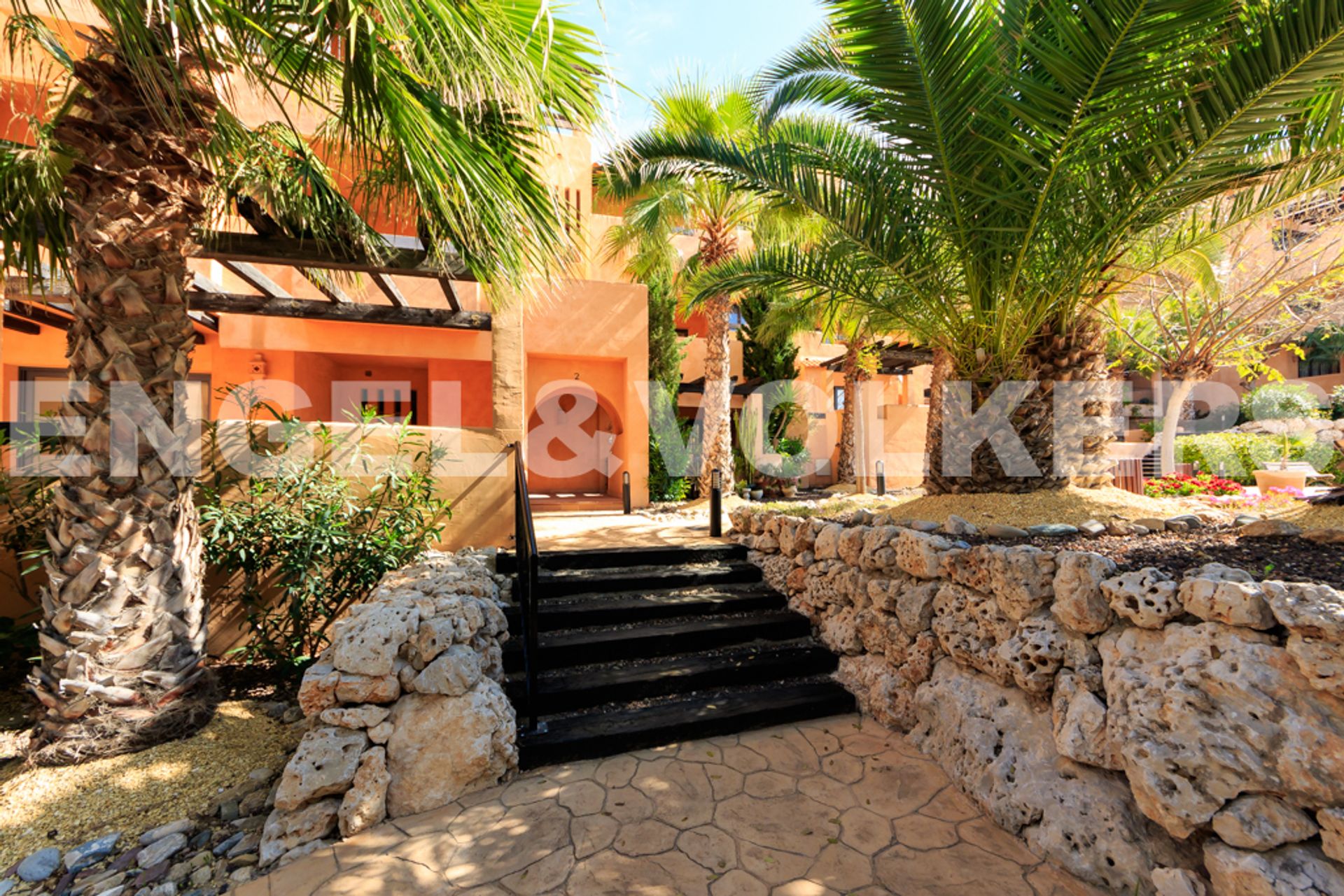 Hus i Dehesa de Campoamor, Valencian Community 10996668