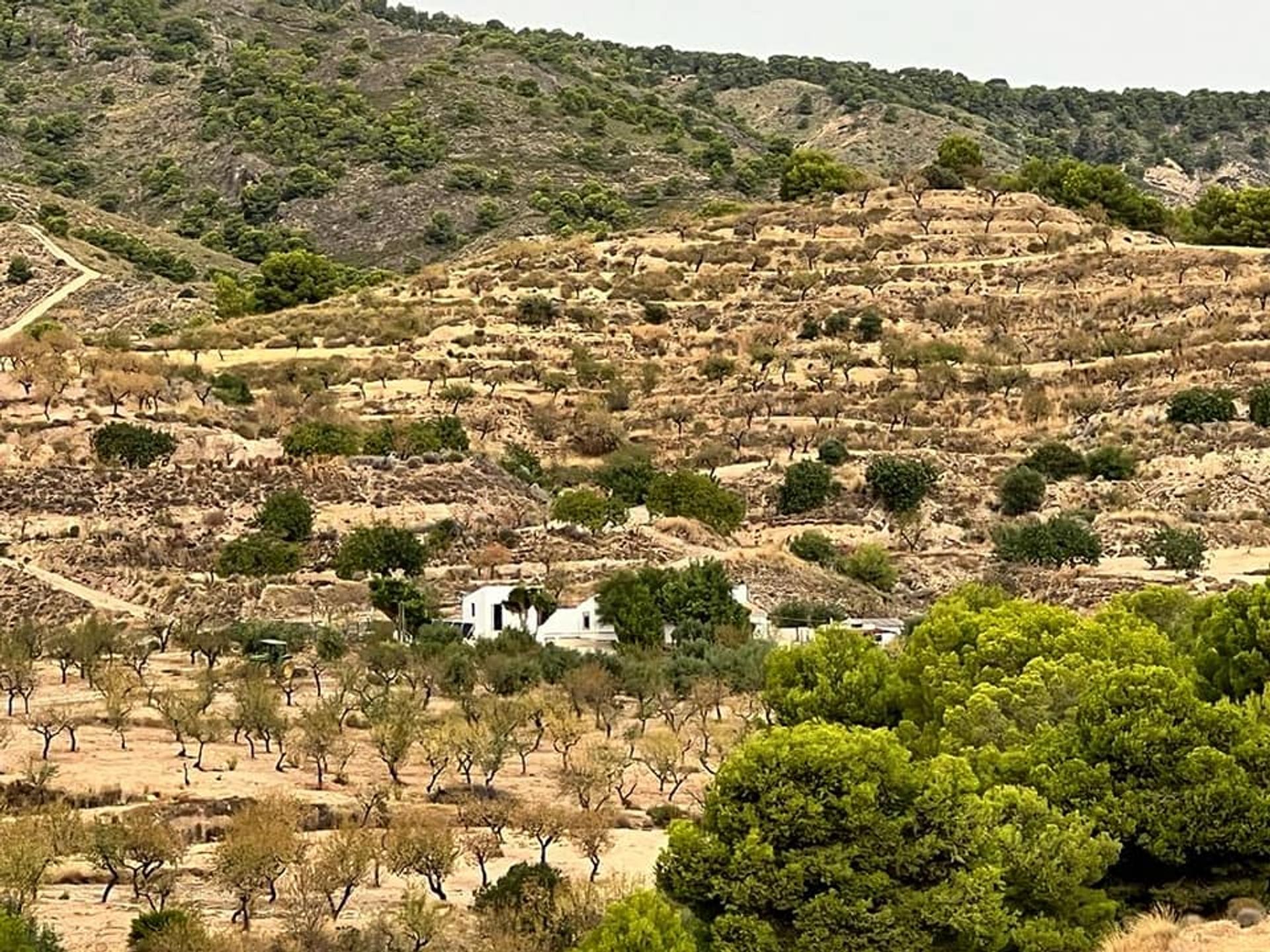 Hus i Carrascoy-La Murta, Region of Murcia 10997067