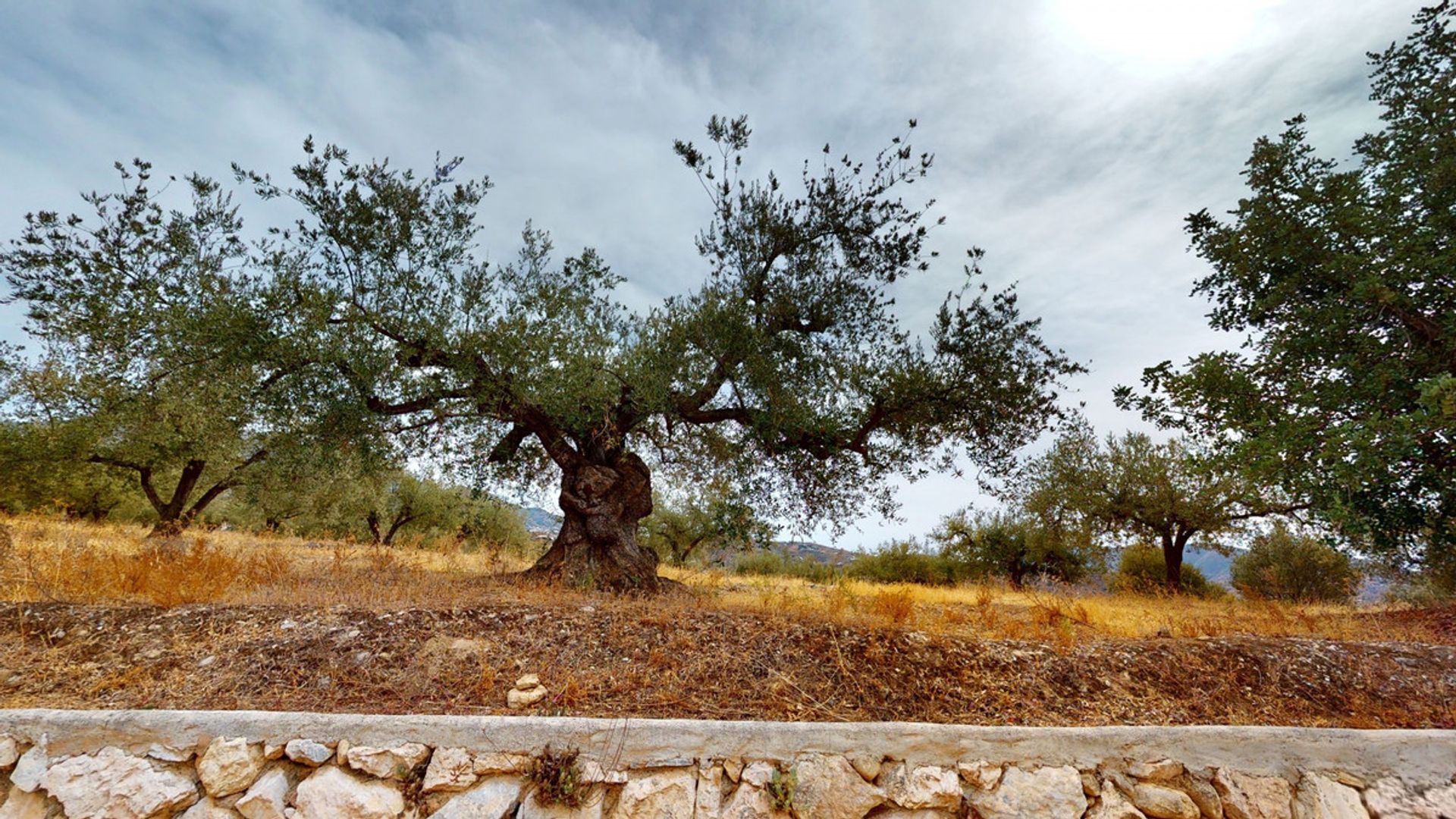 Casa nel Vinuela, Andalusia 10997296