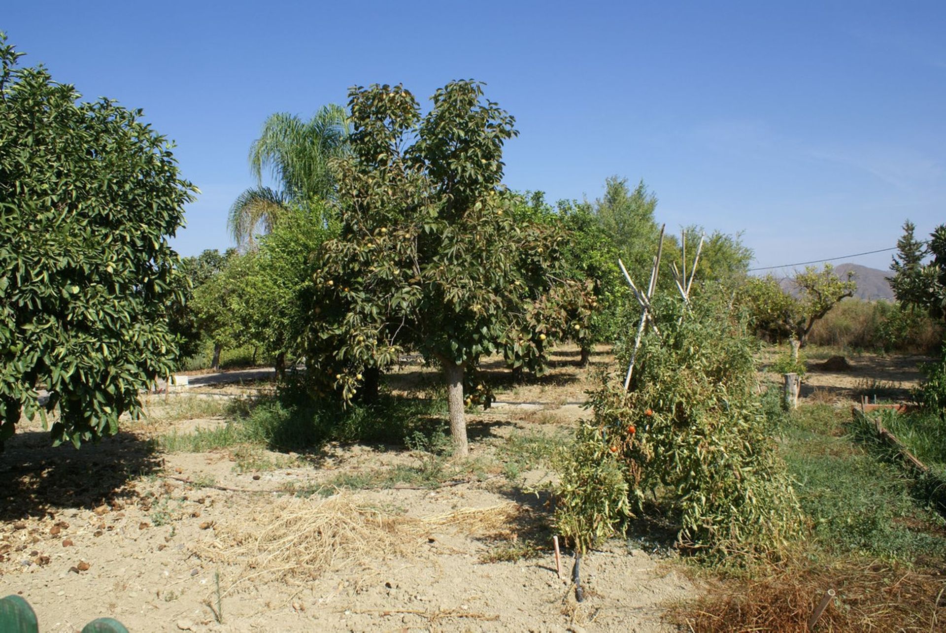 Hus i Cártama, Andalusia 10997449