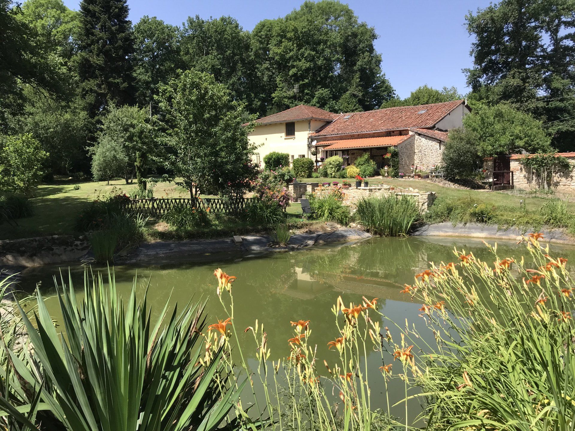 Hus i Roumazieres, Nouvelle-Aquitaine 10997500