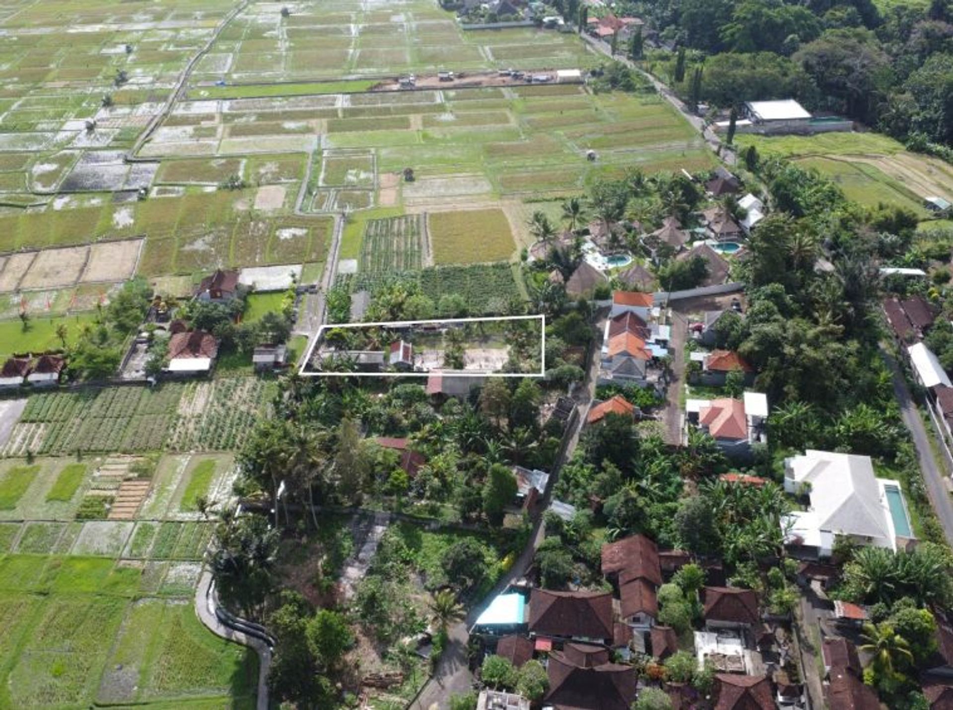 Land i Banjar Lalangpasek, Bali 10997948