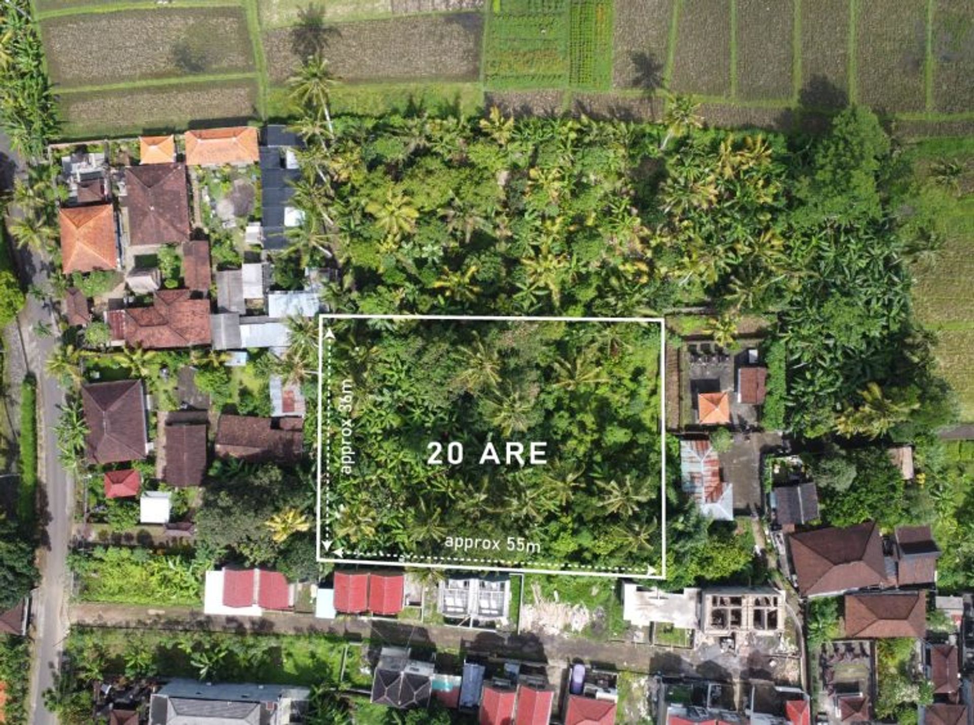 Land i Banjar Lalangpasek, Bali 10997958