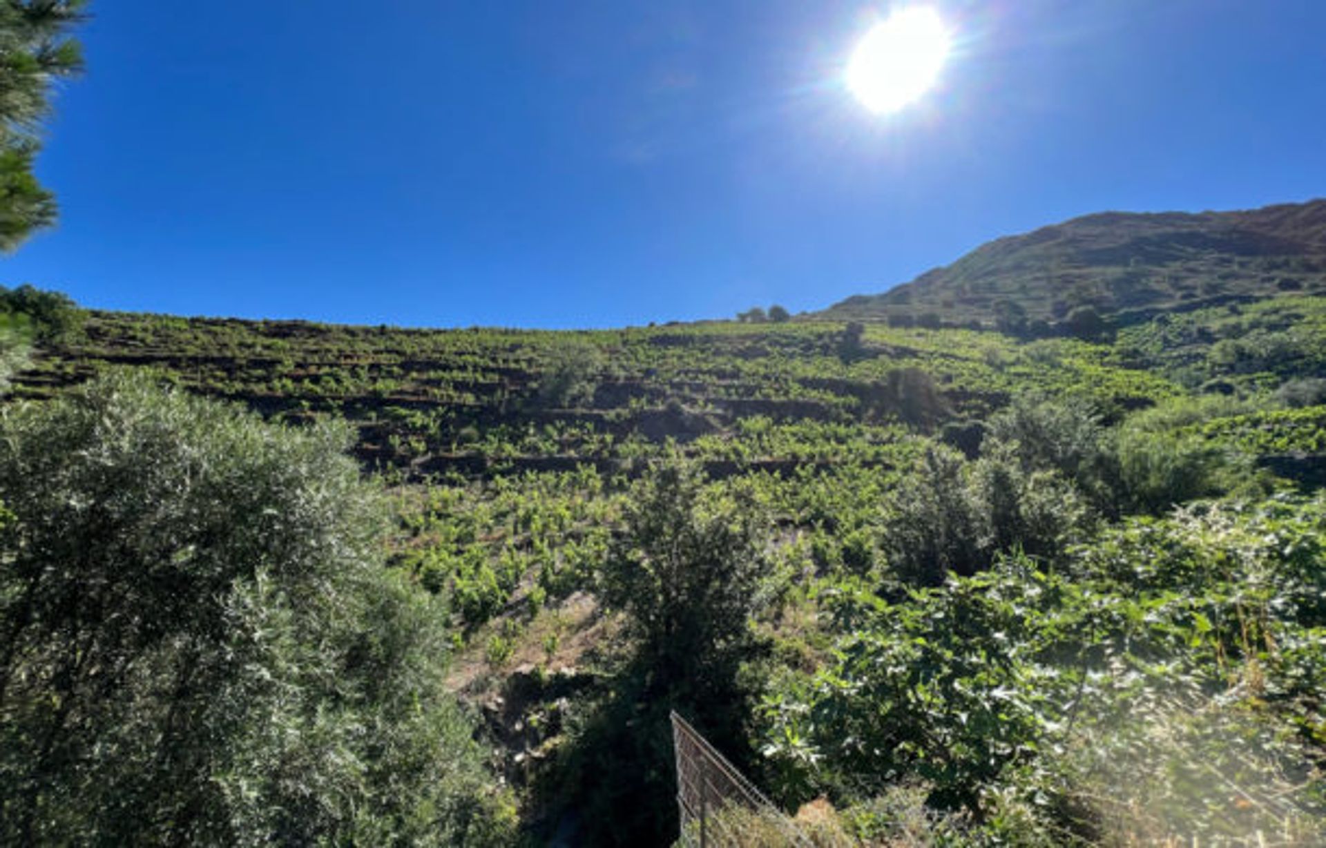 Talo sisään Collioure, Occitanie 10998021