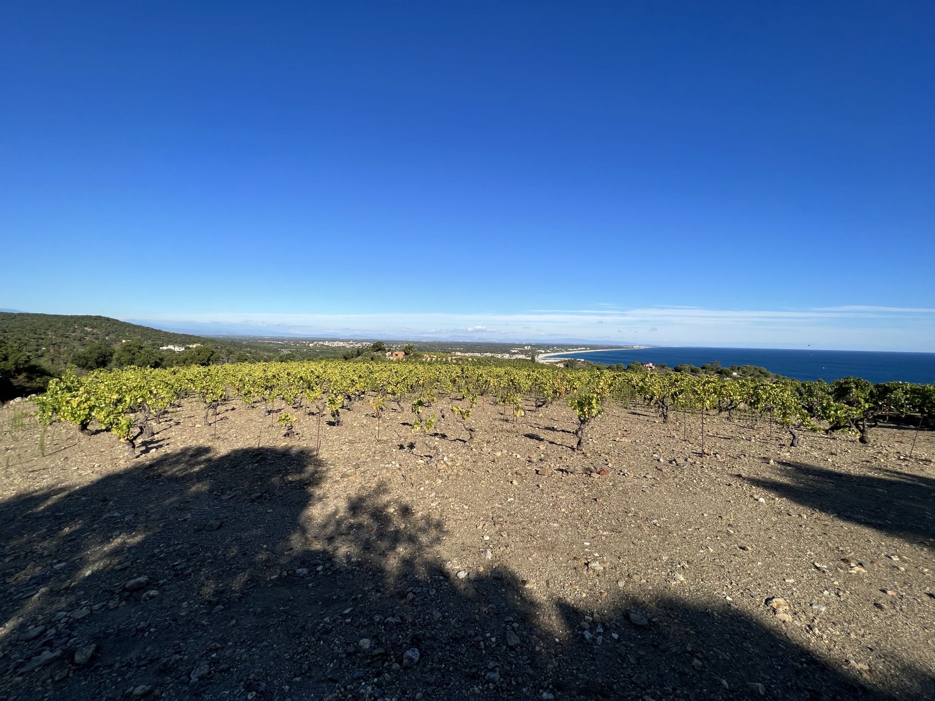 房子 在 Collioure, Occitanie 10998156