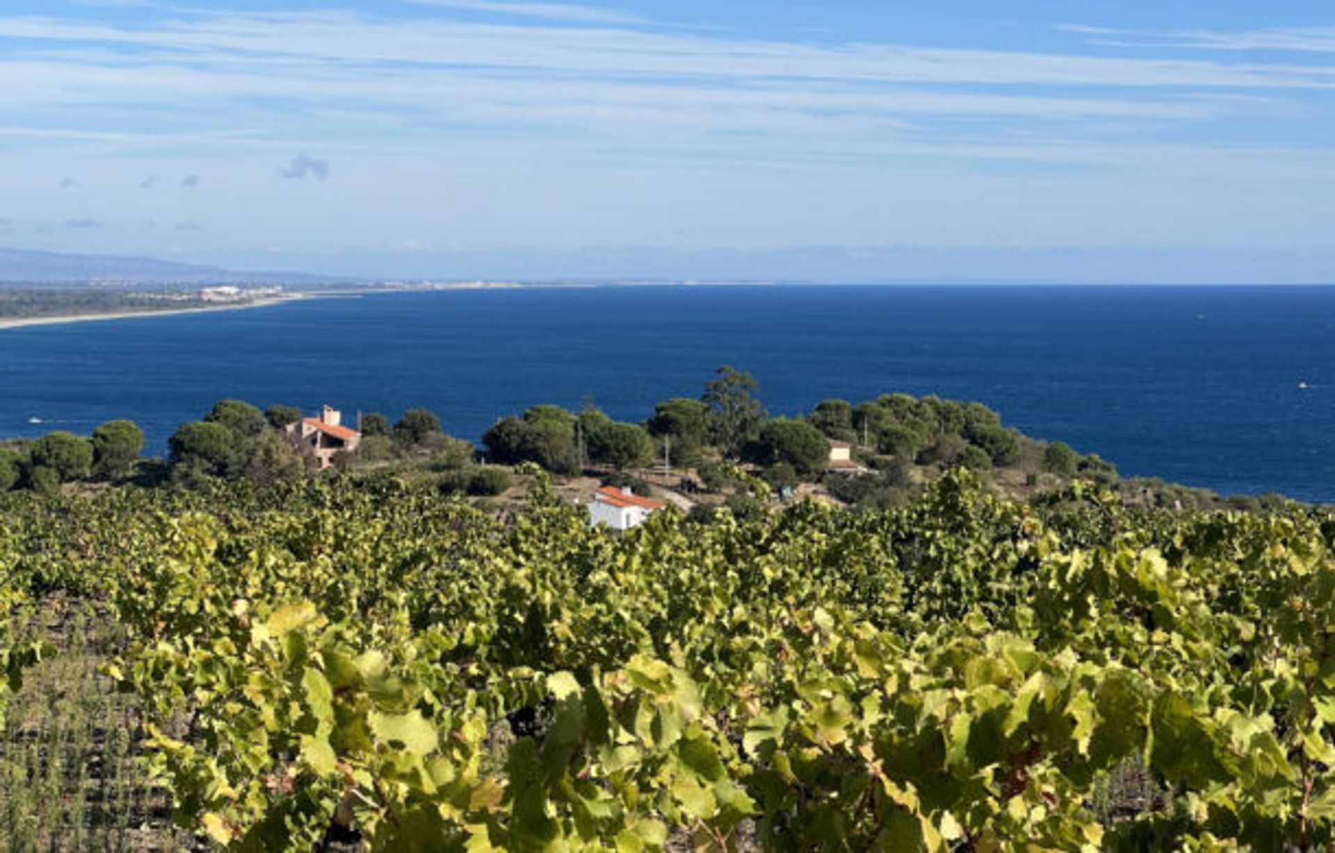 Huis in Collioure, Occitanië 10998156