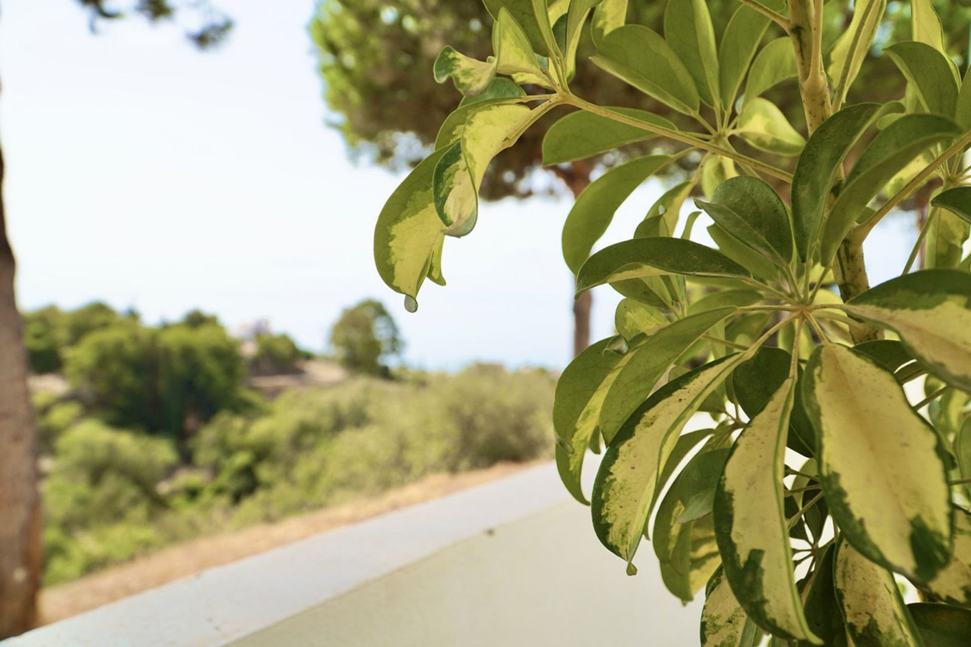 Rumah di Benalmádena, Andalucía 10998536