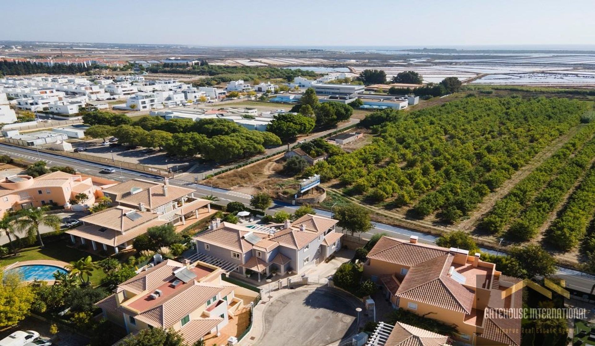 Dom w Tavira, Faraon 10998676