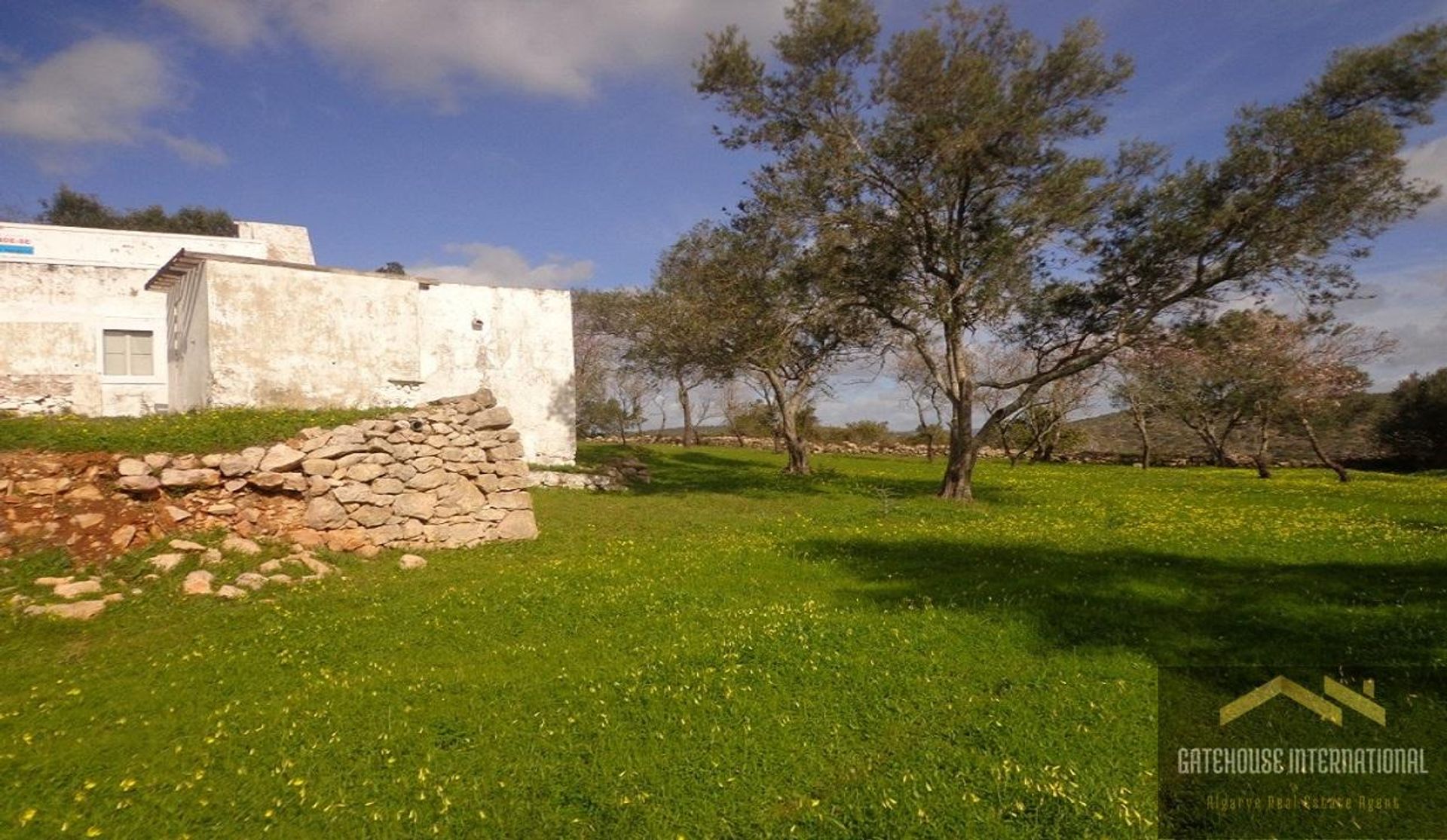 Tierra en Caños, Faraón 10998988