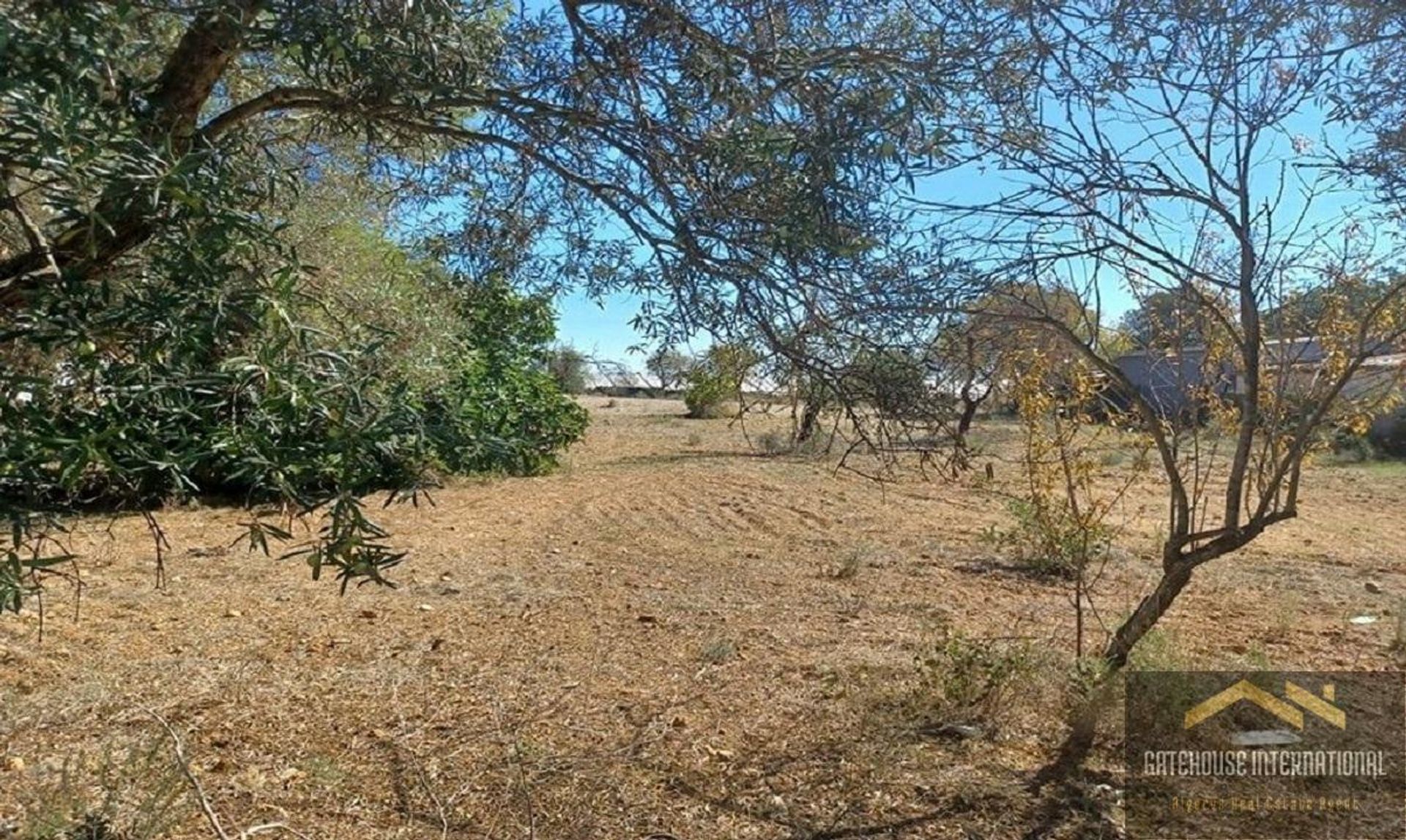 Land in Santa Bárbara de Nexe, Faro 10999021