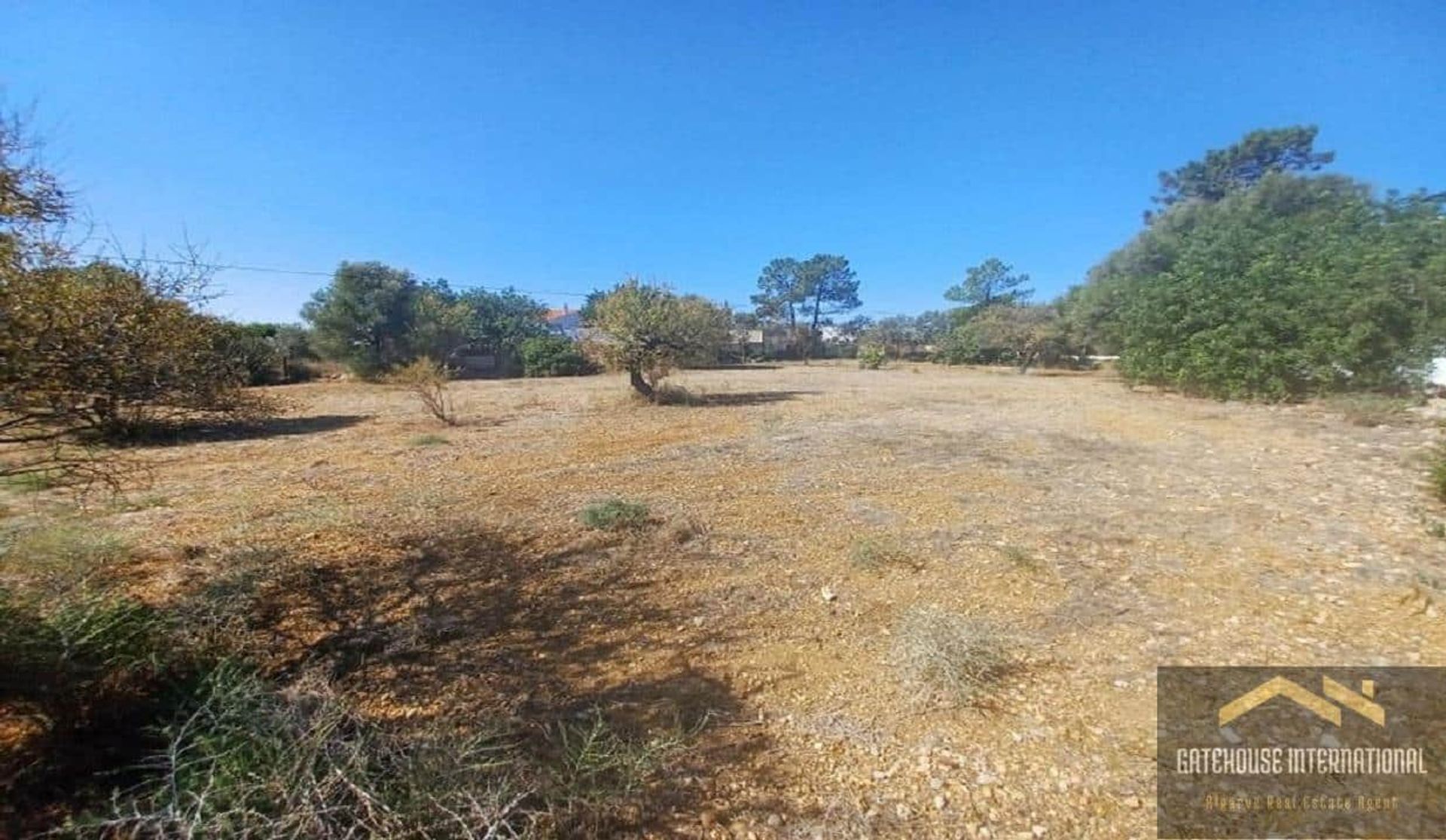 Land in Santa Barbara de Nexe, Faro 10999021