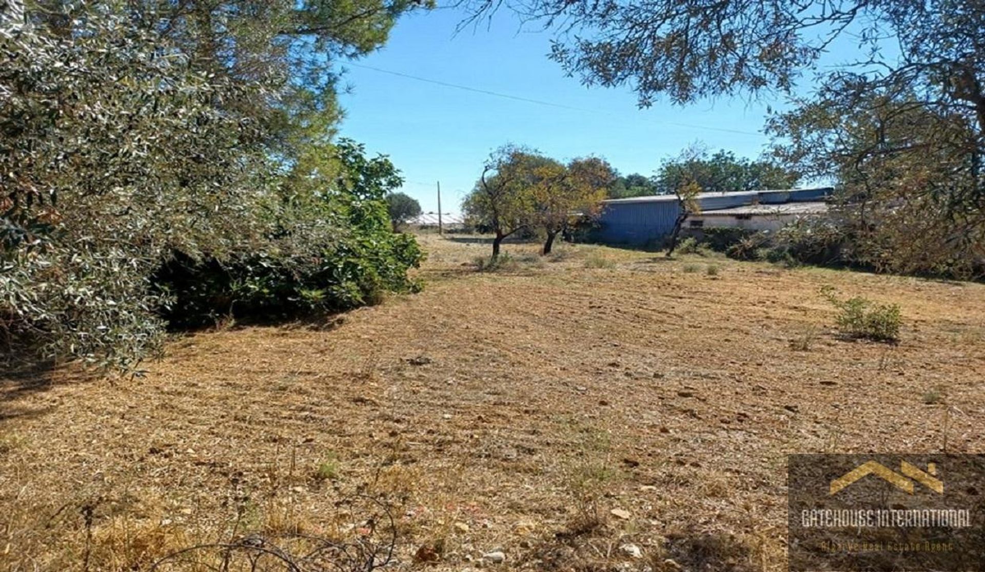 Land in Santa Bárbara de Nexe, Faro 10999021