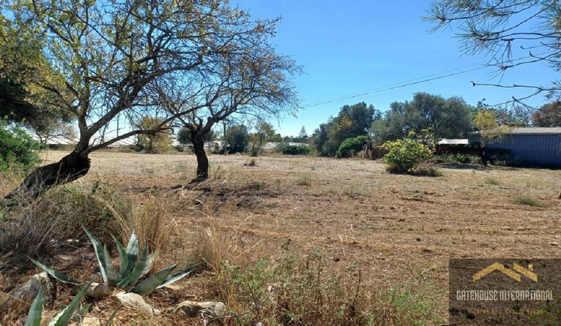 Land in Santa Bárbara de Nexe, Faro 10999021