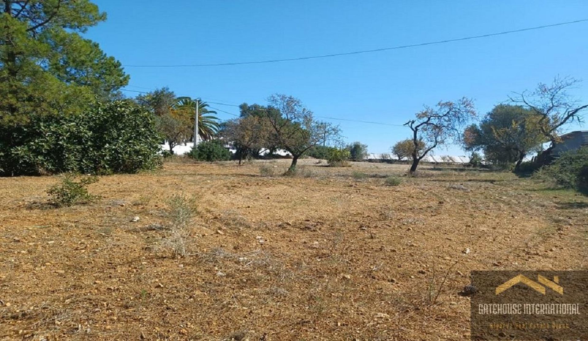 Land in Santa Bárbara de Nexe, Faro 10999021