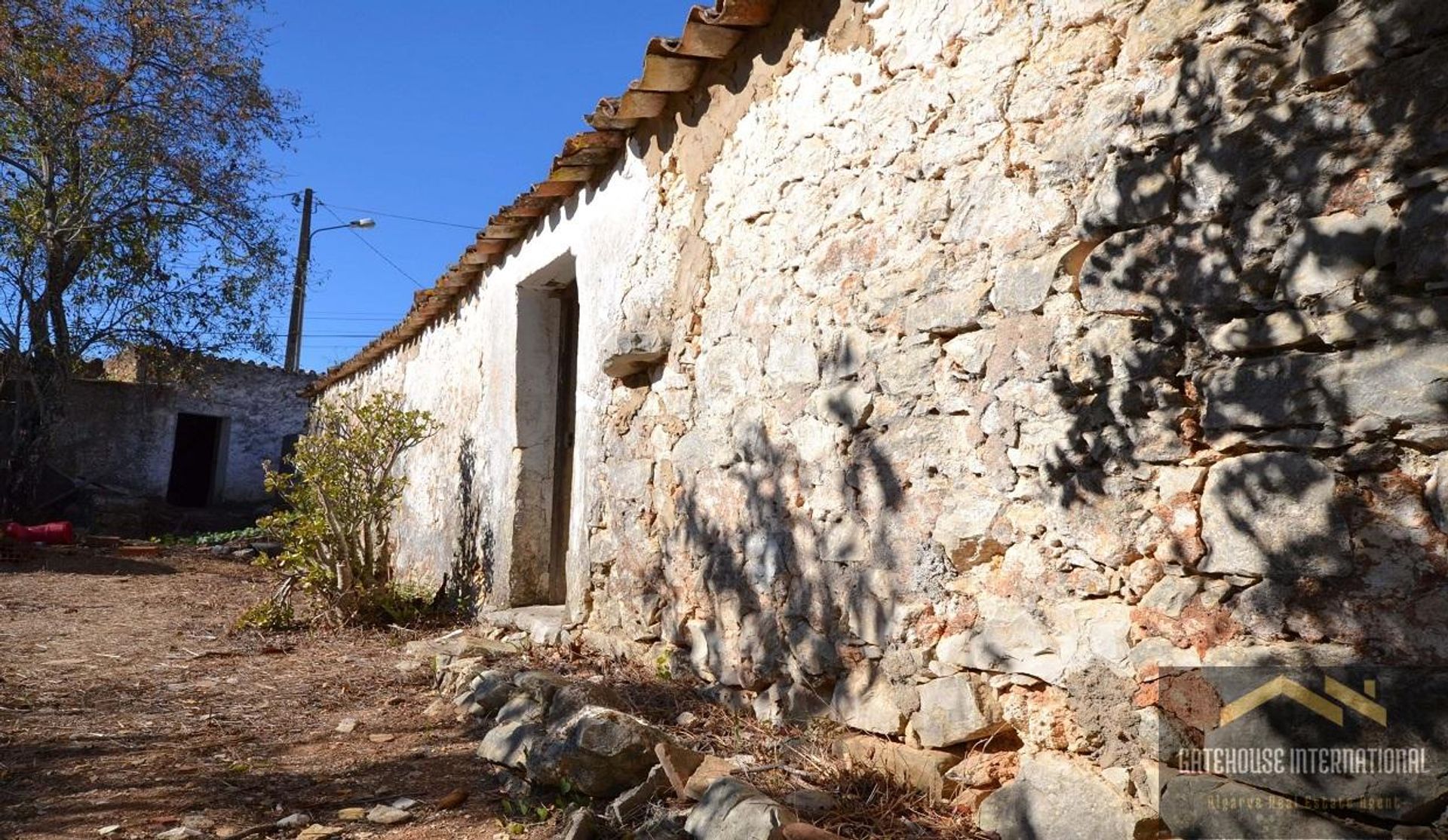 Tierra en Caños, Faraón 10999038