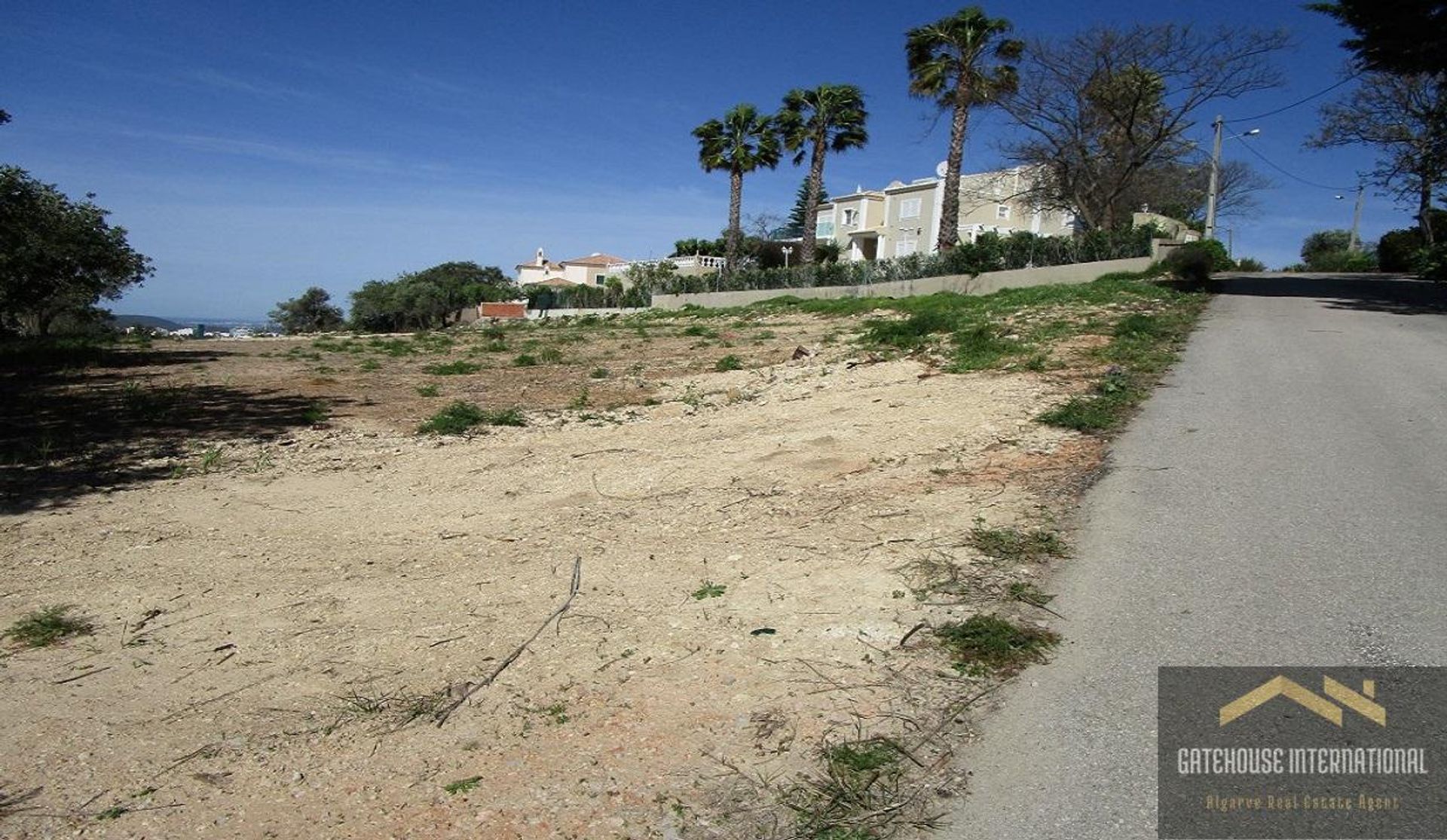 Tierra en Caños, Faraón 10999077