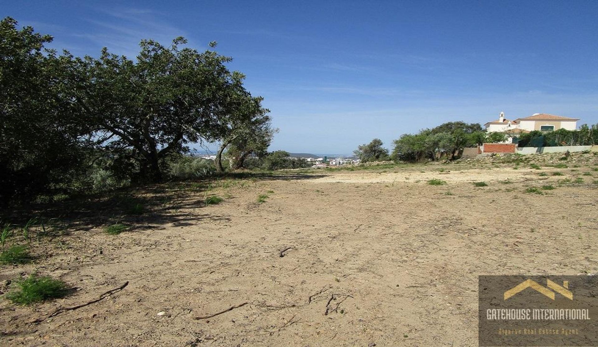 Tierra en Caños, Faraón 10999077