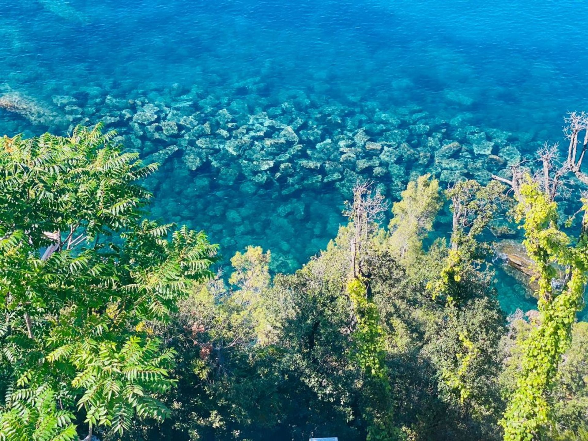 집 에 Santa Margherita Ligure, Liguria 10999219