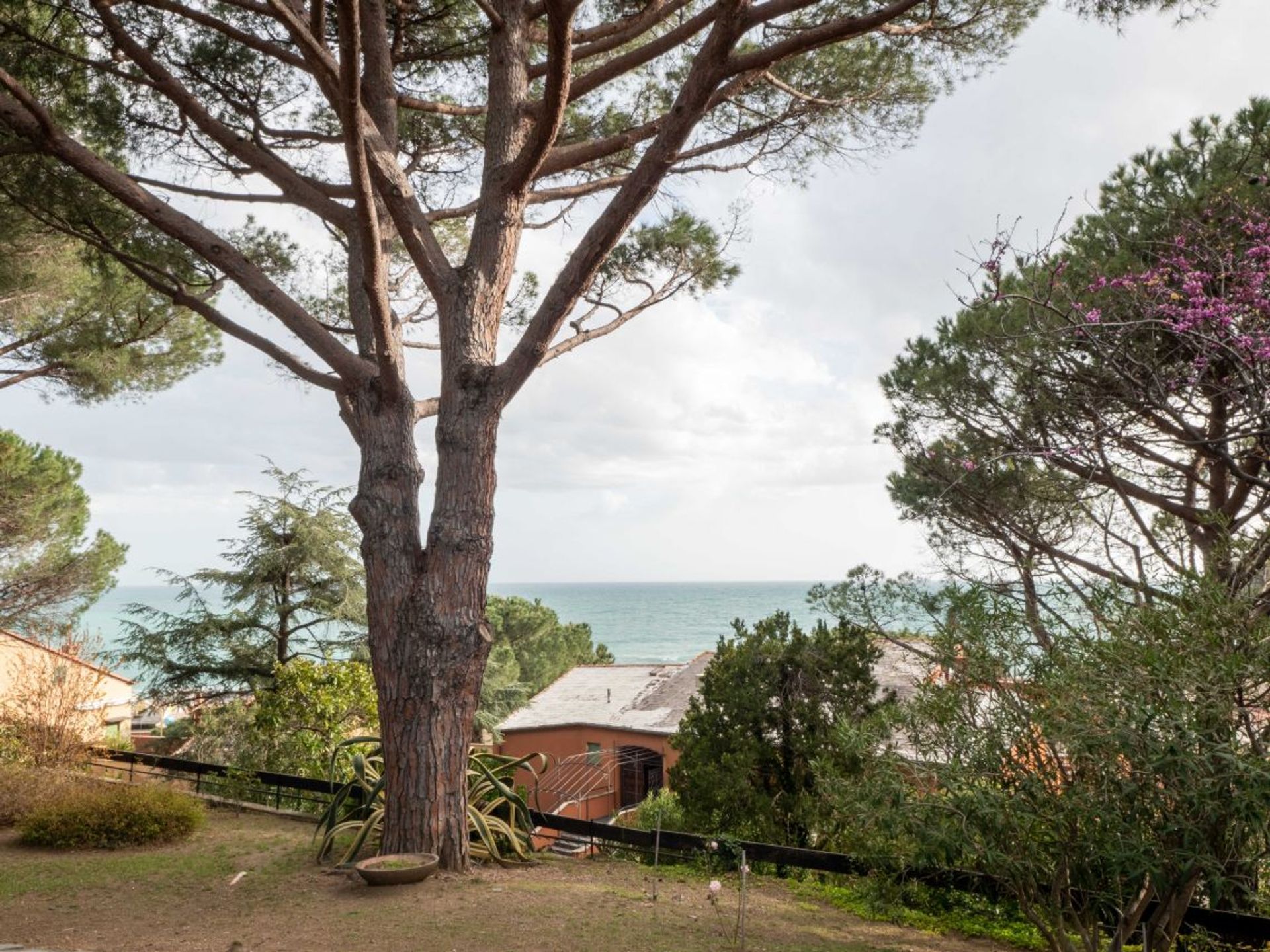 жилой дом в Monterosso al Mare, Liguria 10999341