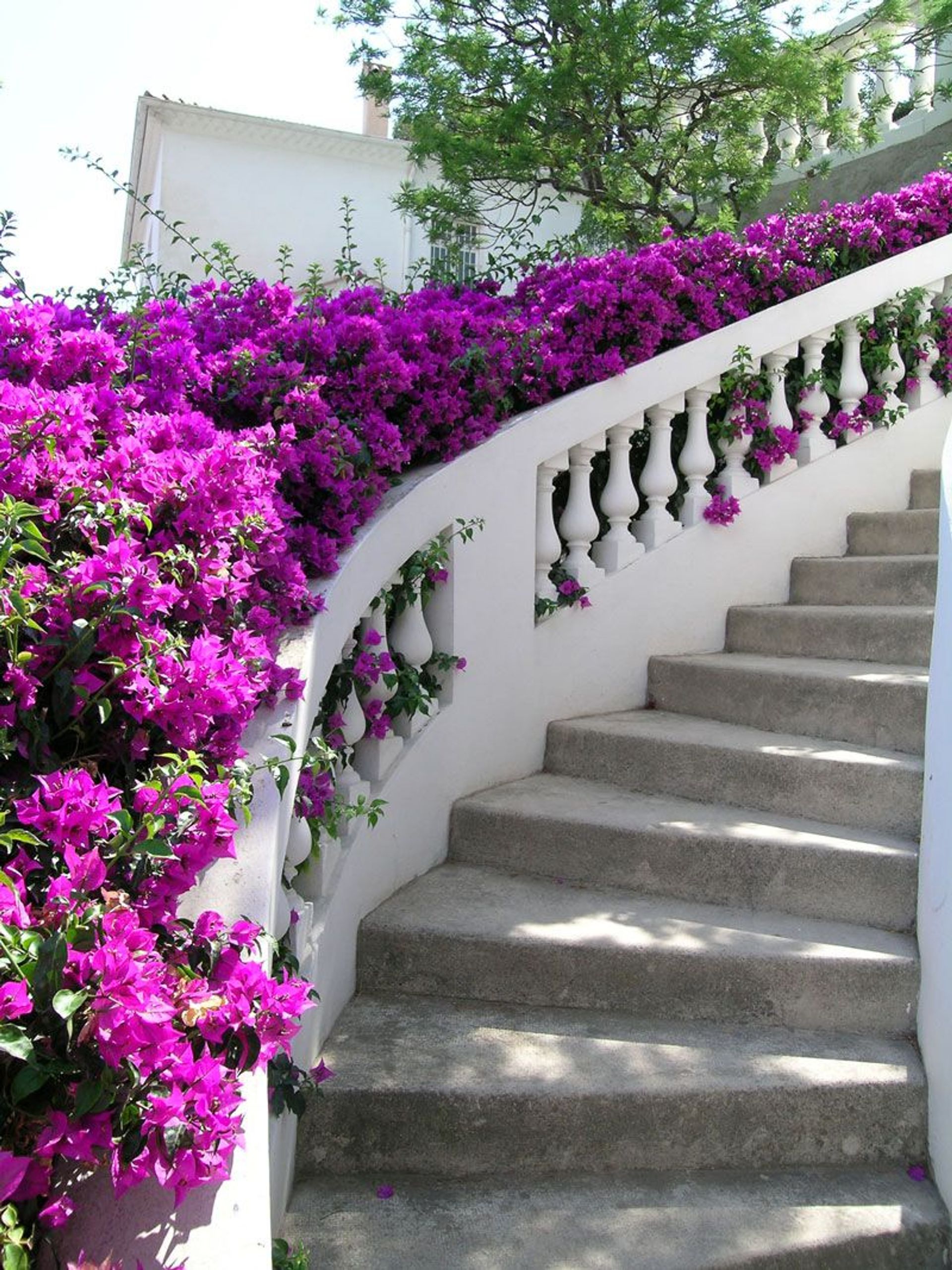 casa en Saint-Jean-Cap-Ferrat, Provence-Alpes-Côte d'Azur 10999366