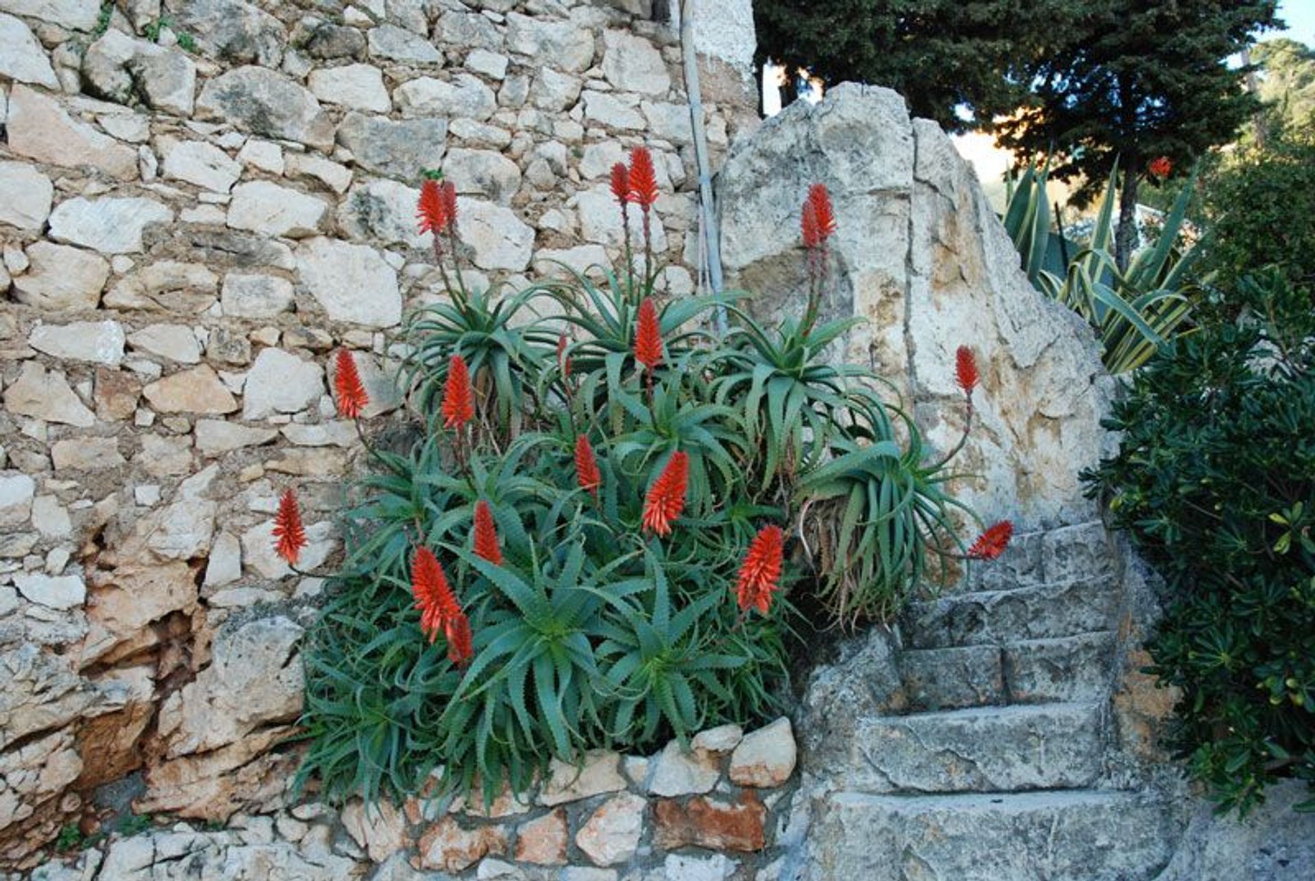 casa en Saint-Jean-Cap-Ferrat, Provence-Alpes-Côte d'Azur 10999366