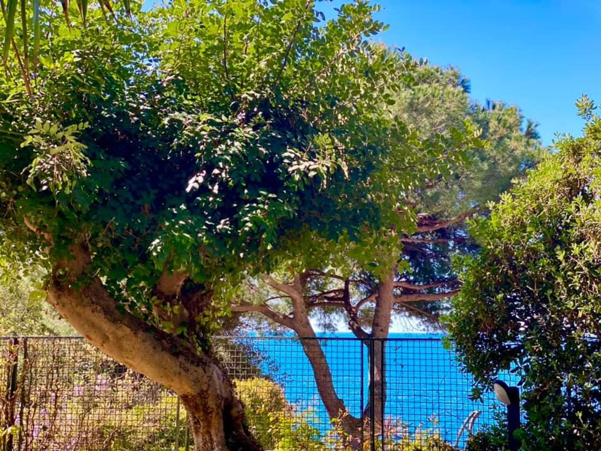 بيت في Camogli, Liguria 10999551