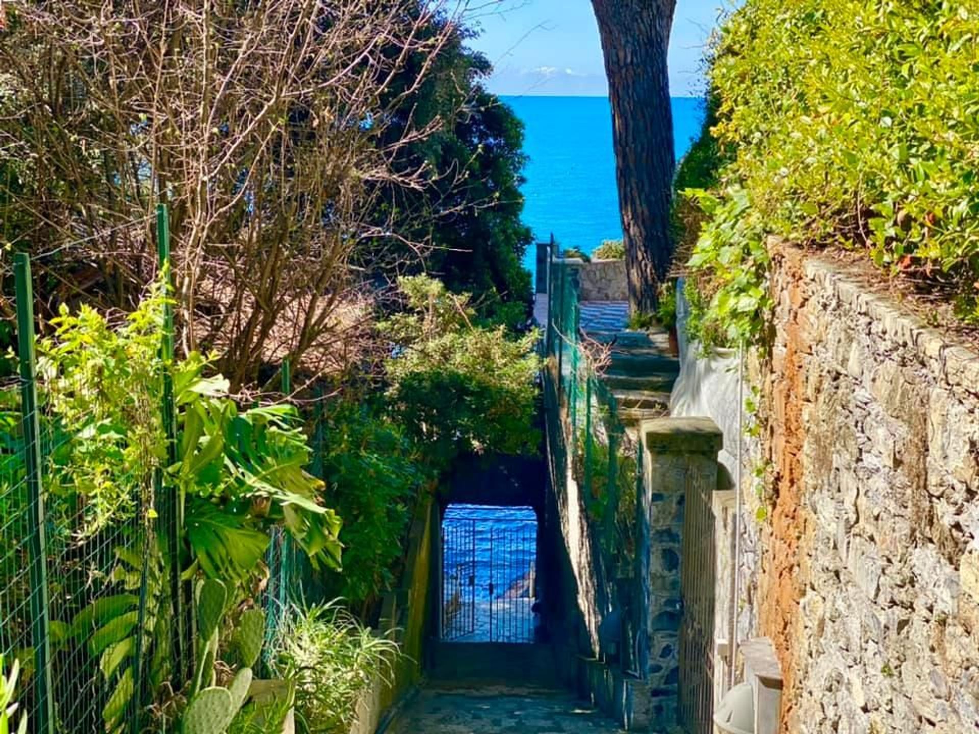 بيت في Camogli, Liguria 10999551