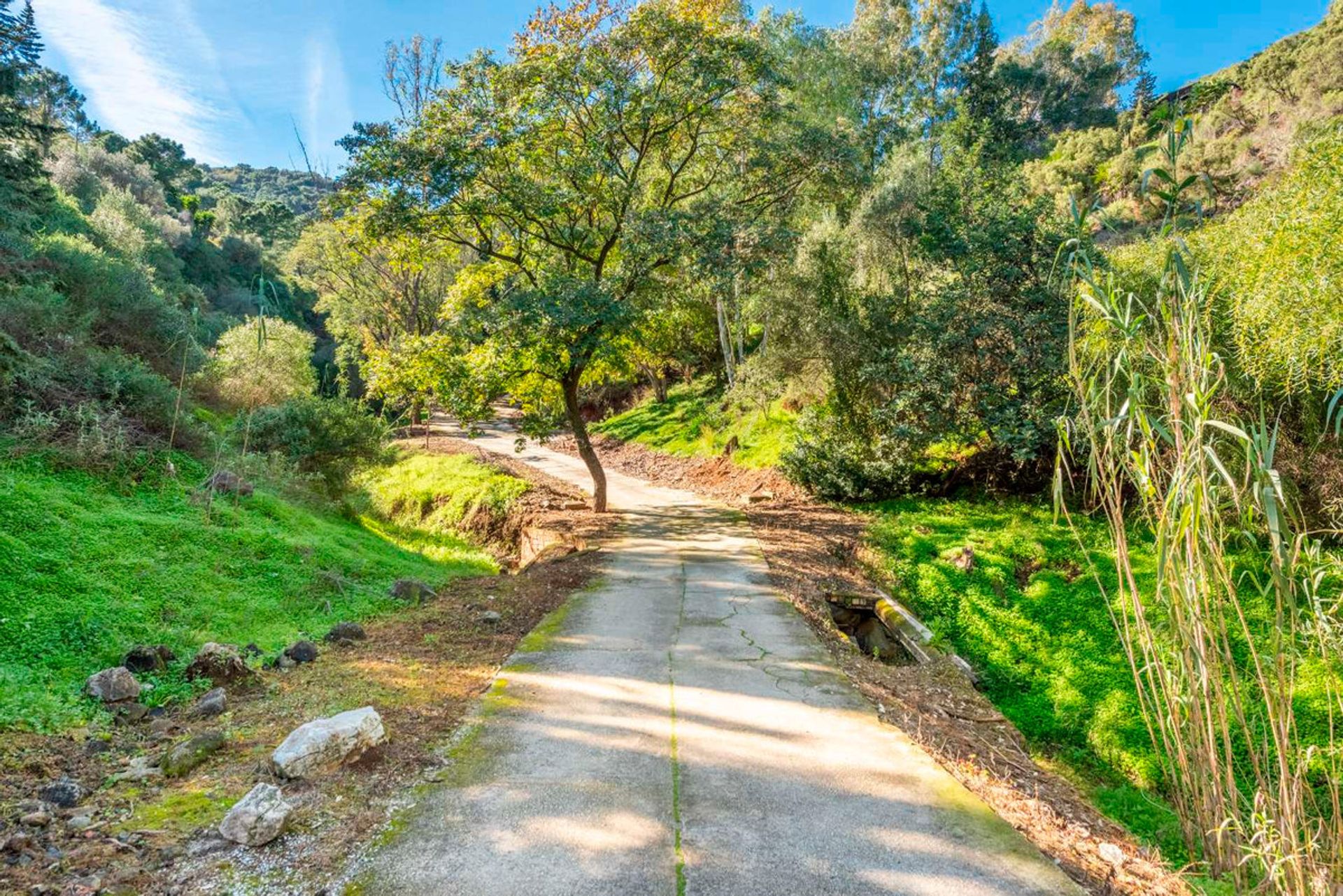 σπίτι σε Benahavís, Andalusia 10999667