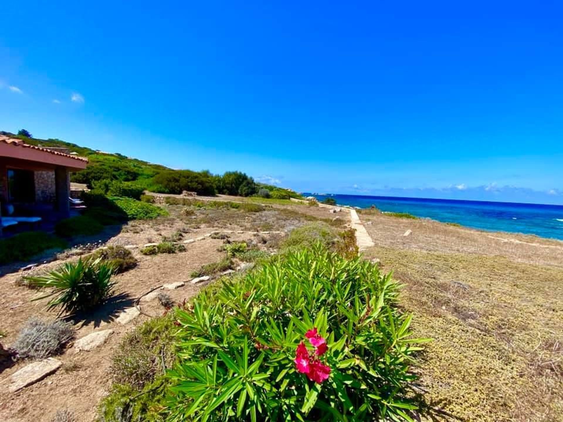 집 에 Costa Paradiso, Sardegna 10999724