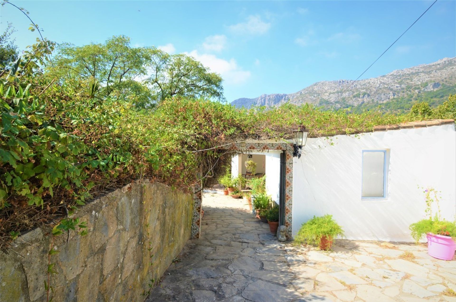 casa en Casares, Andalusia 10999937