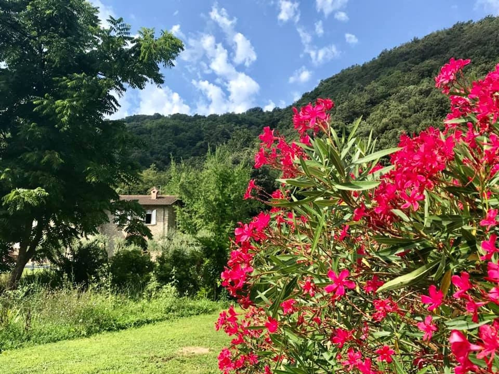 房子 在 Fiumaretta di Ameglia, Liguria 11000254