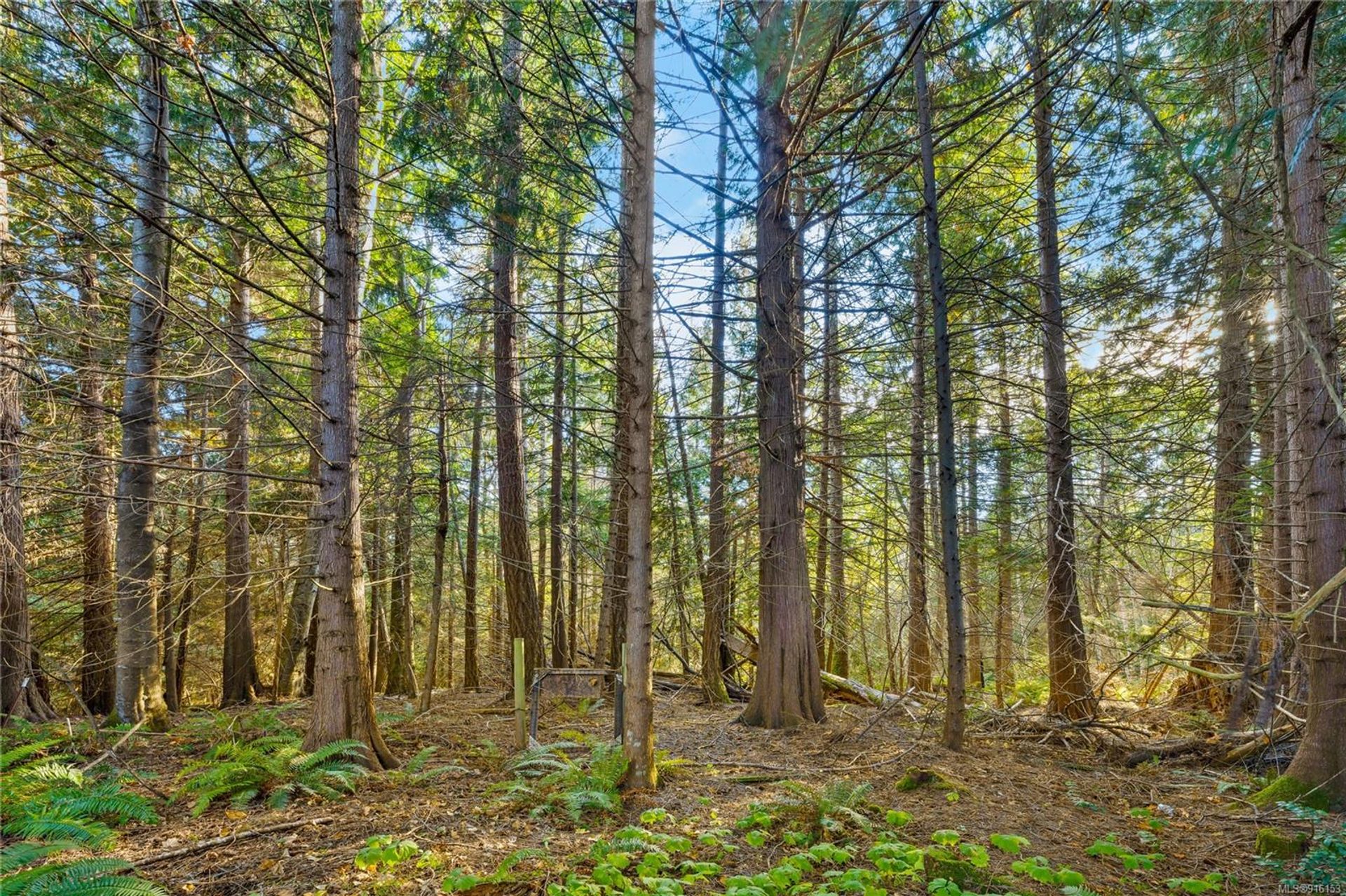 सम्मिलित में Qualicum Beach, British Columbia 11000255