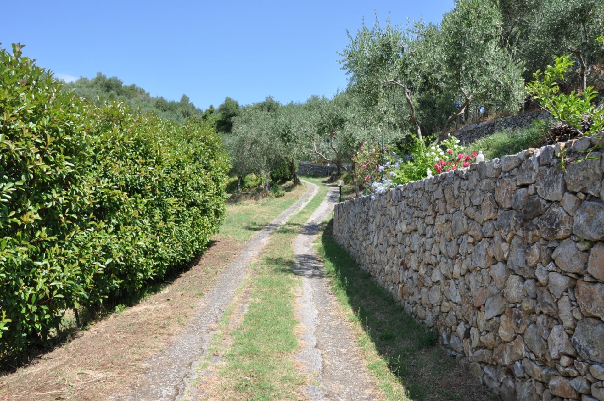 Hus i Tellaro, Liguria 11000273