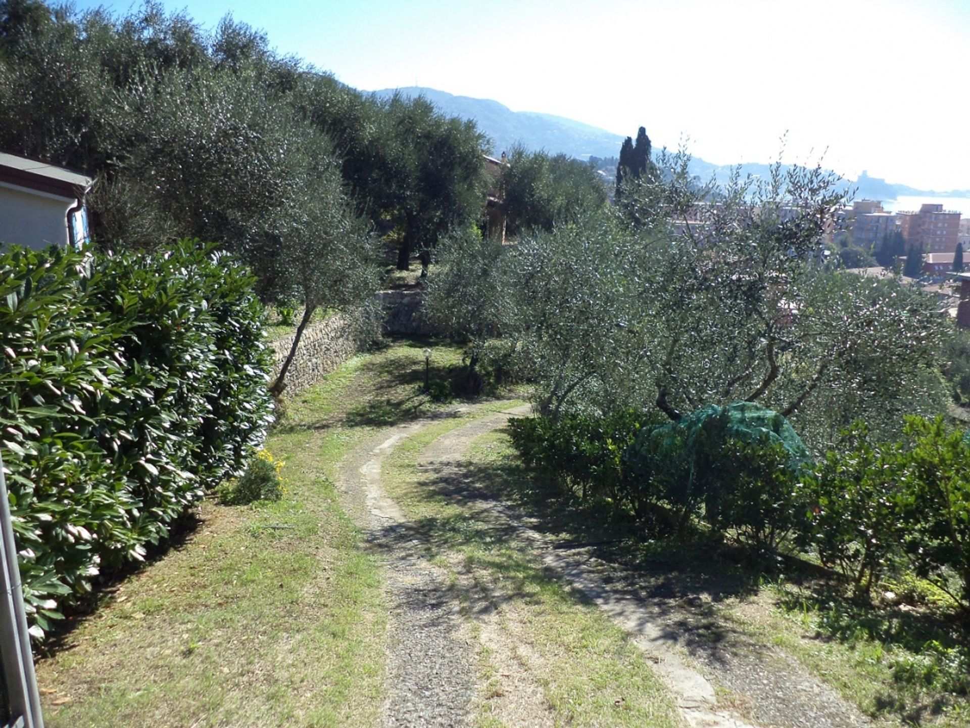 Hus i Tellaro, Liguria 11000273