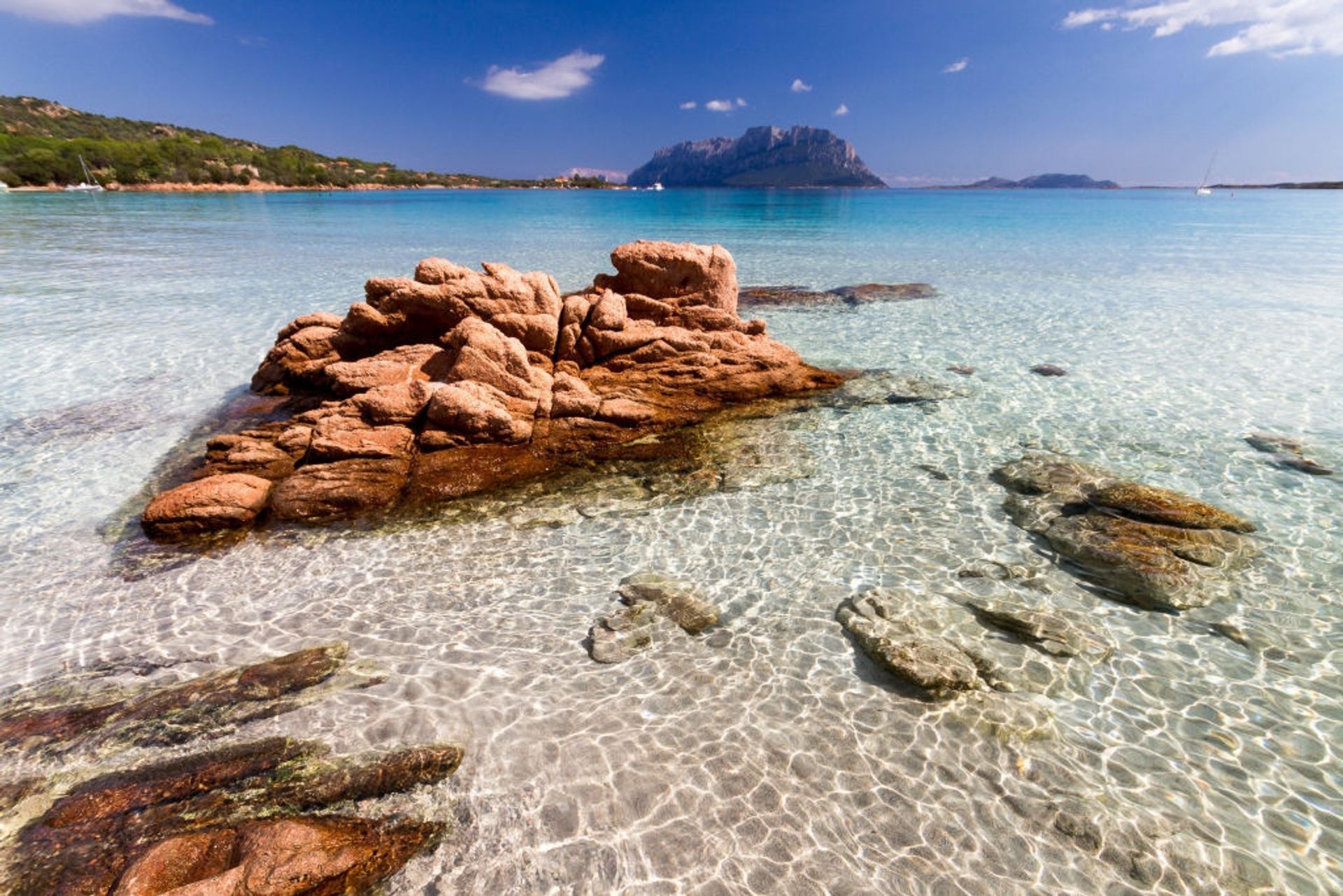 жилой дом в Olbia, Sardegna 11000320