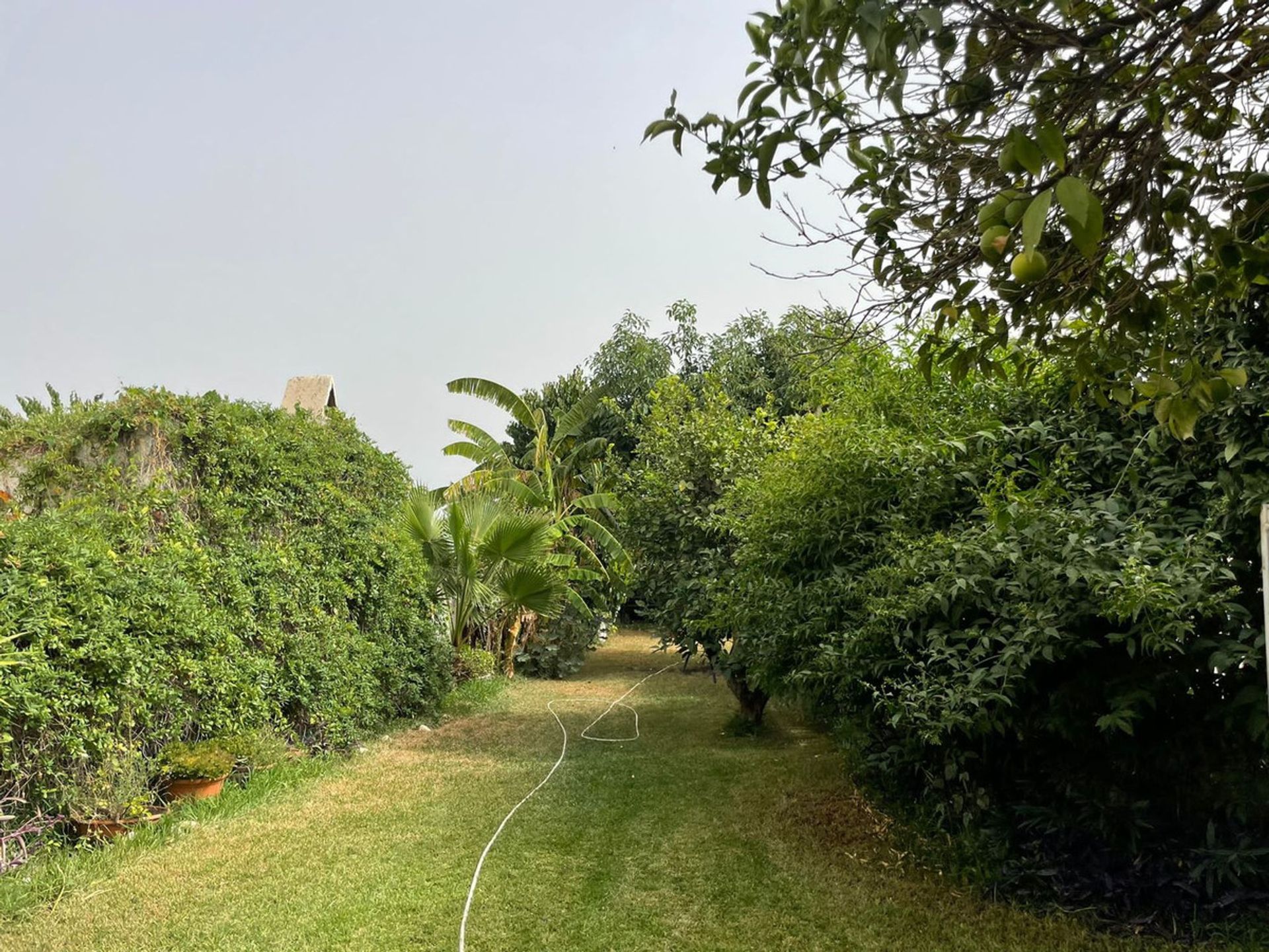 casa no Nerja, Andalucía 11000644