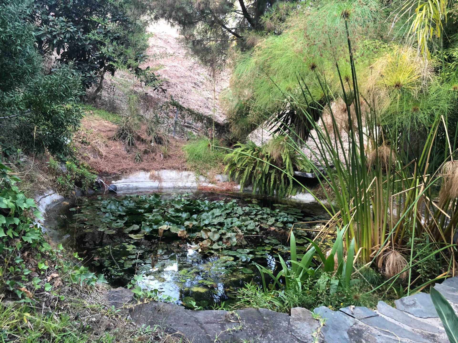 Casa nel Benahavís, Andalucía 11000943