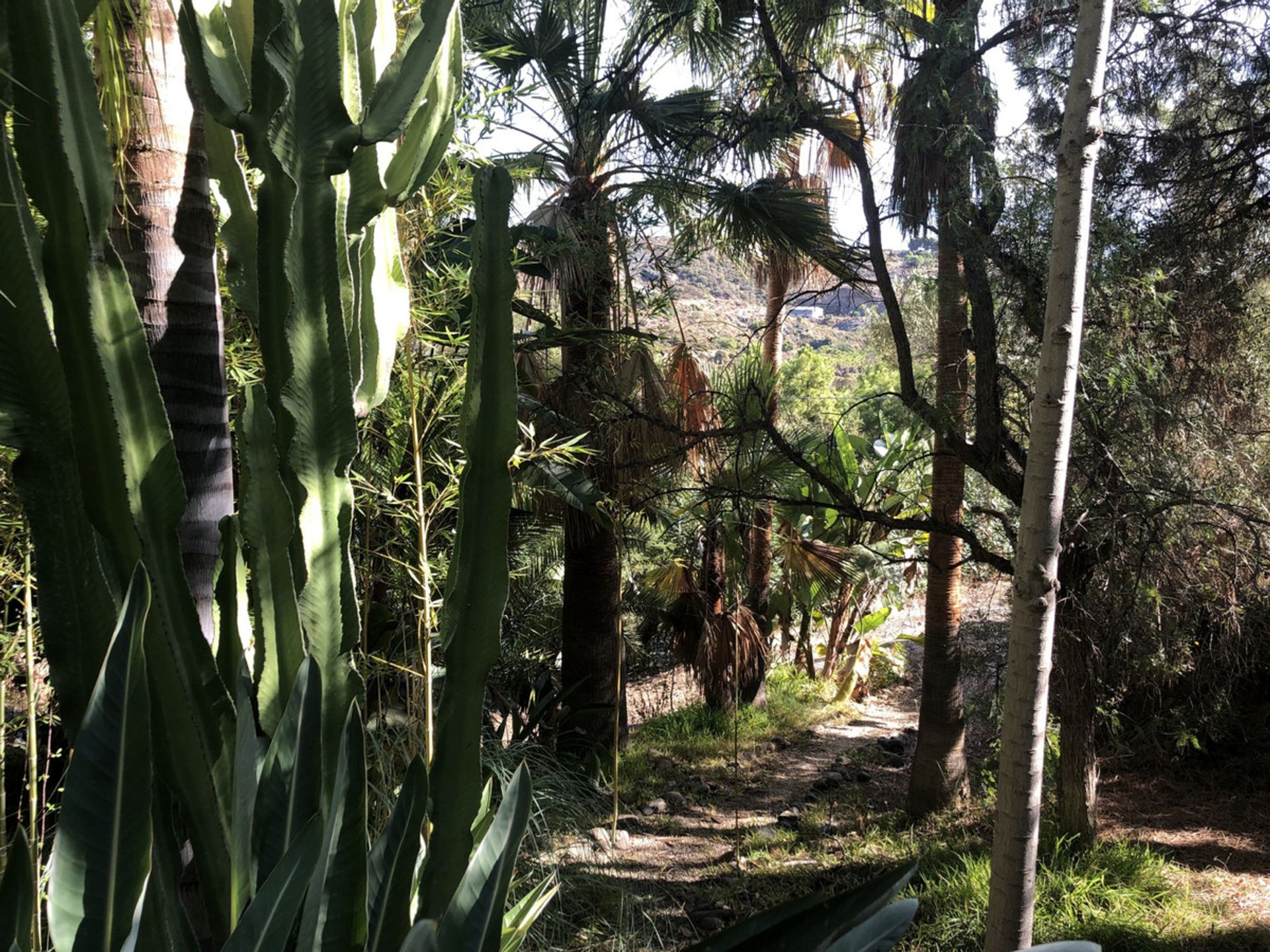 Casa nel Benahavís, Andalucía 11000943