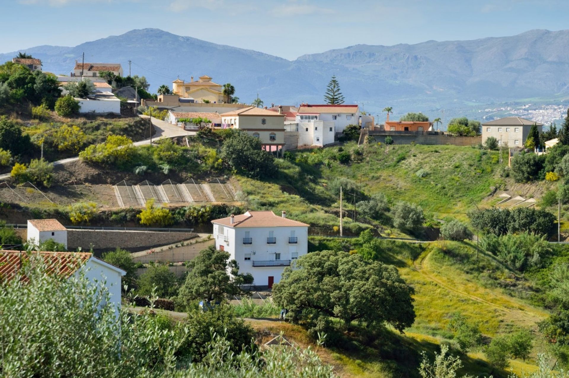 жилой дом в Los Romanes, Andalusia 11000946