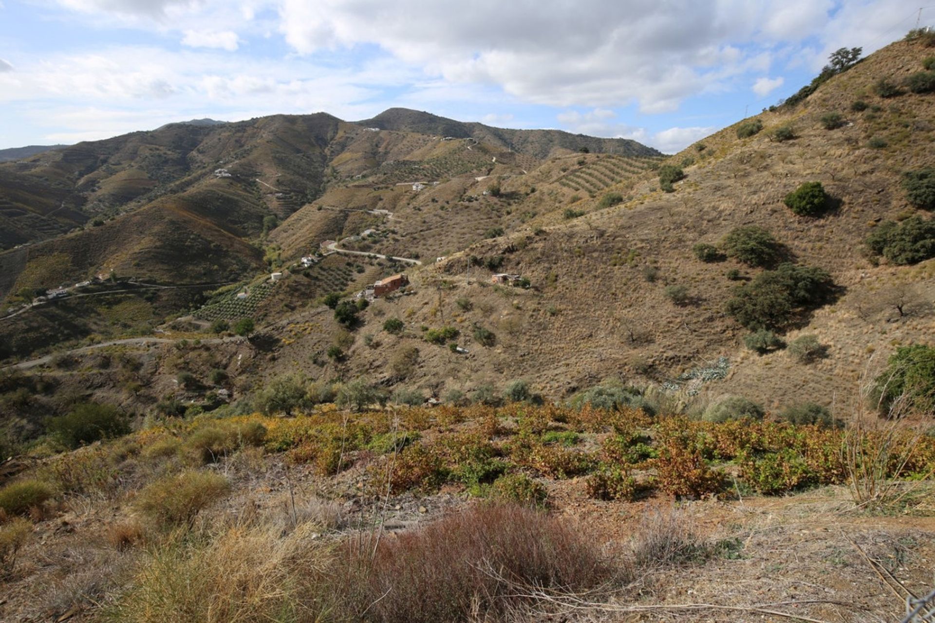 집 에 El Borge, Andalusia 11001095