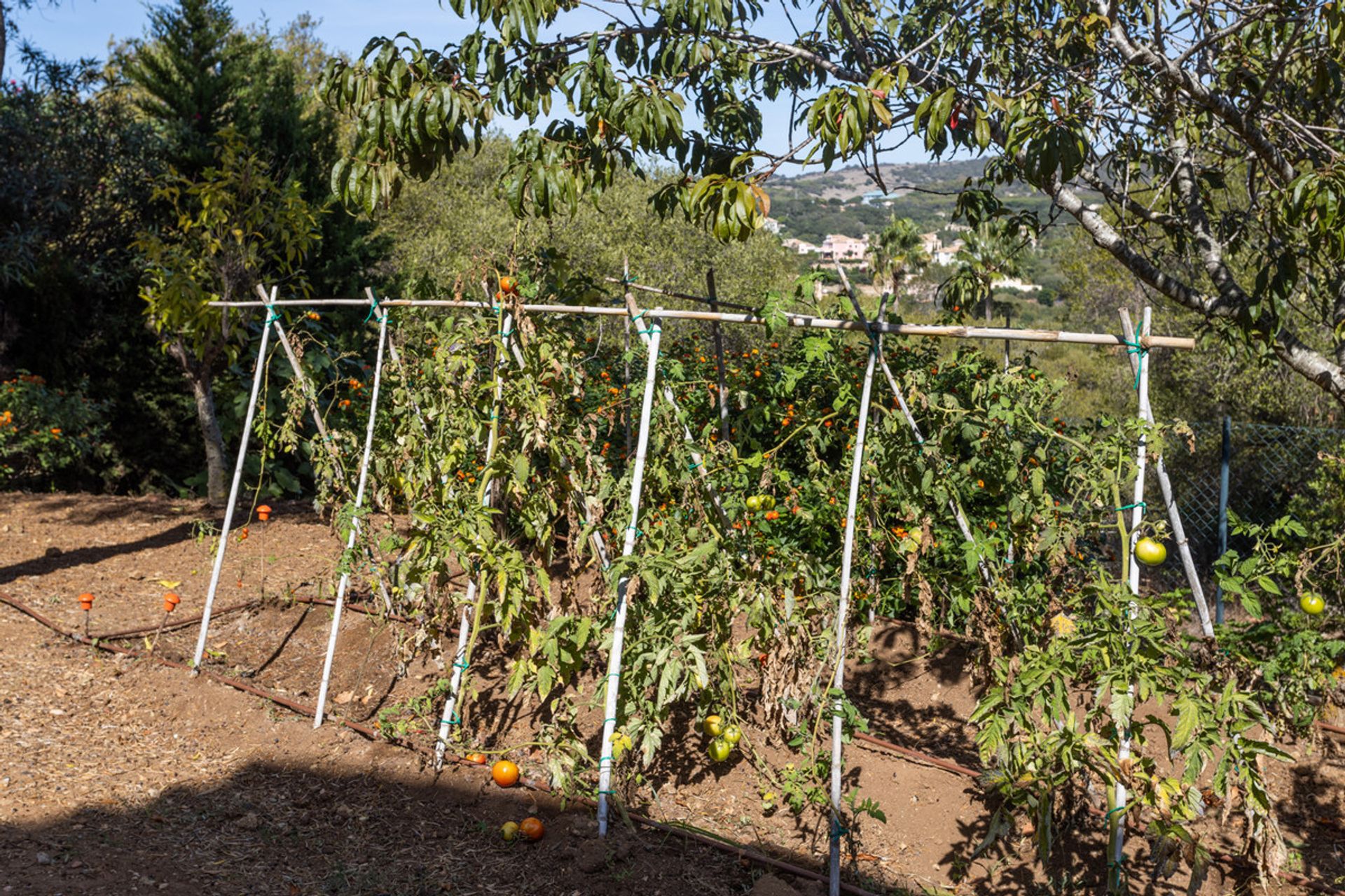 loger dans Ubrique, Andalucía 11001232