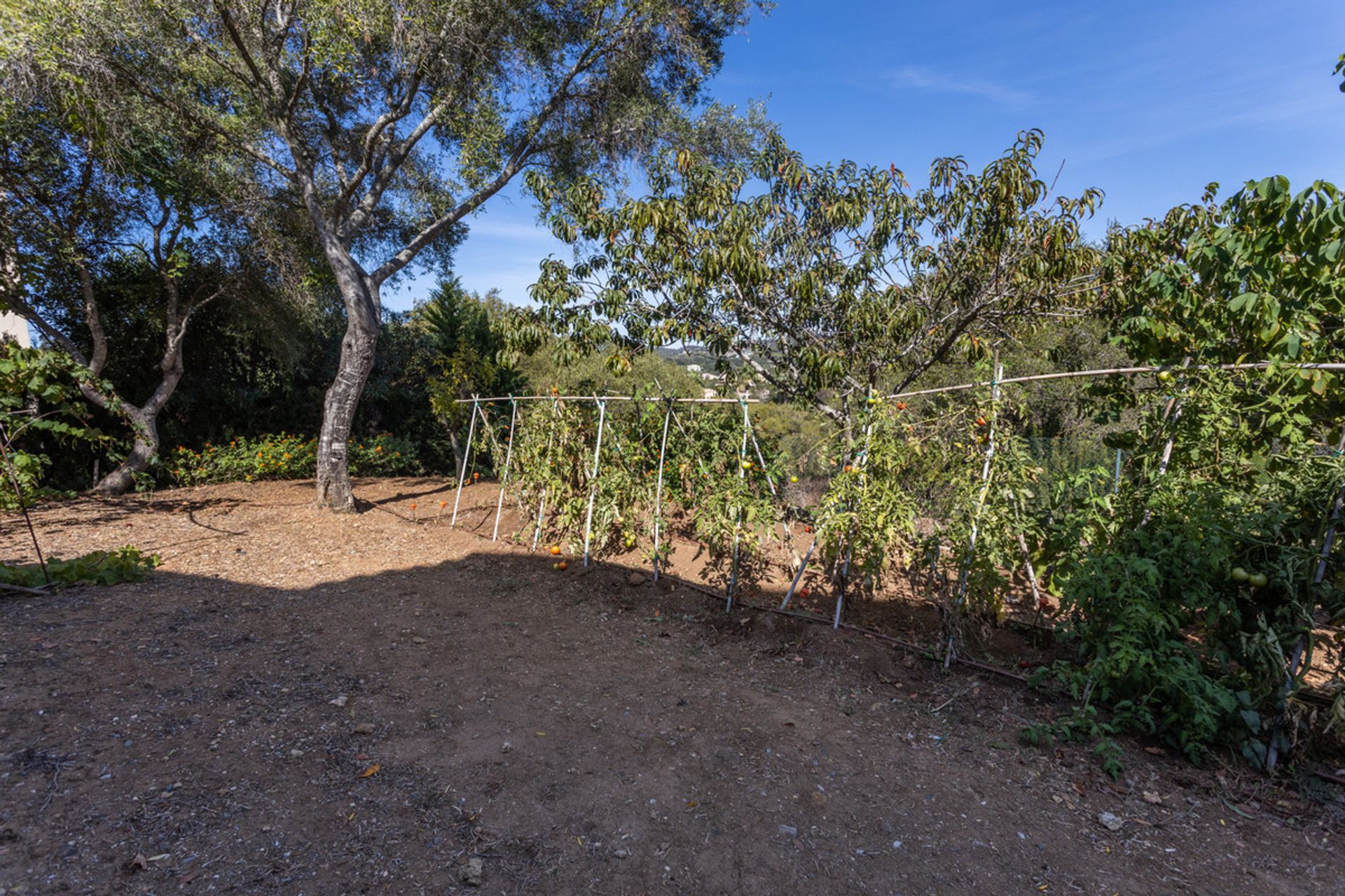 loger dans Ubrique, Andalucía 11001232