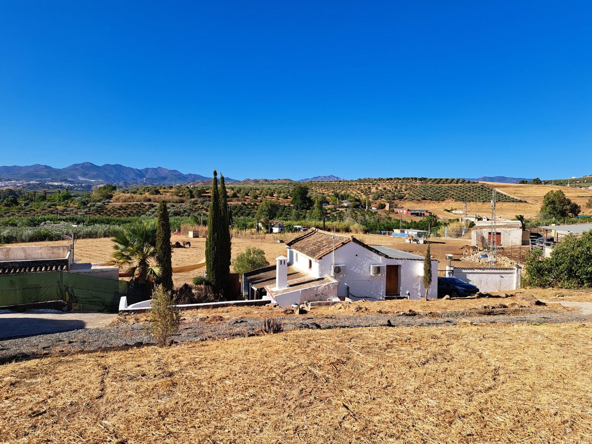 Hus i Coín, Andalusia 11001334