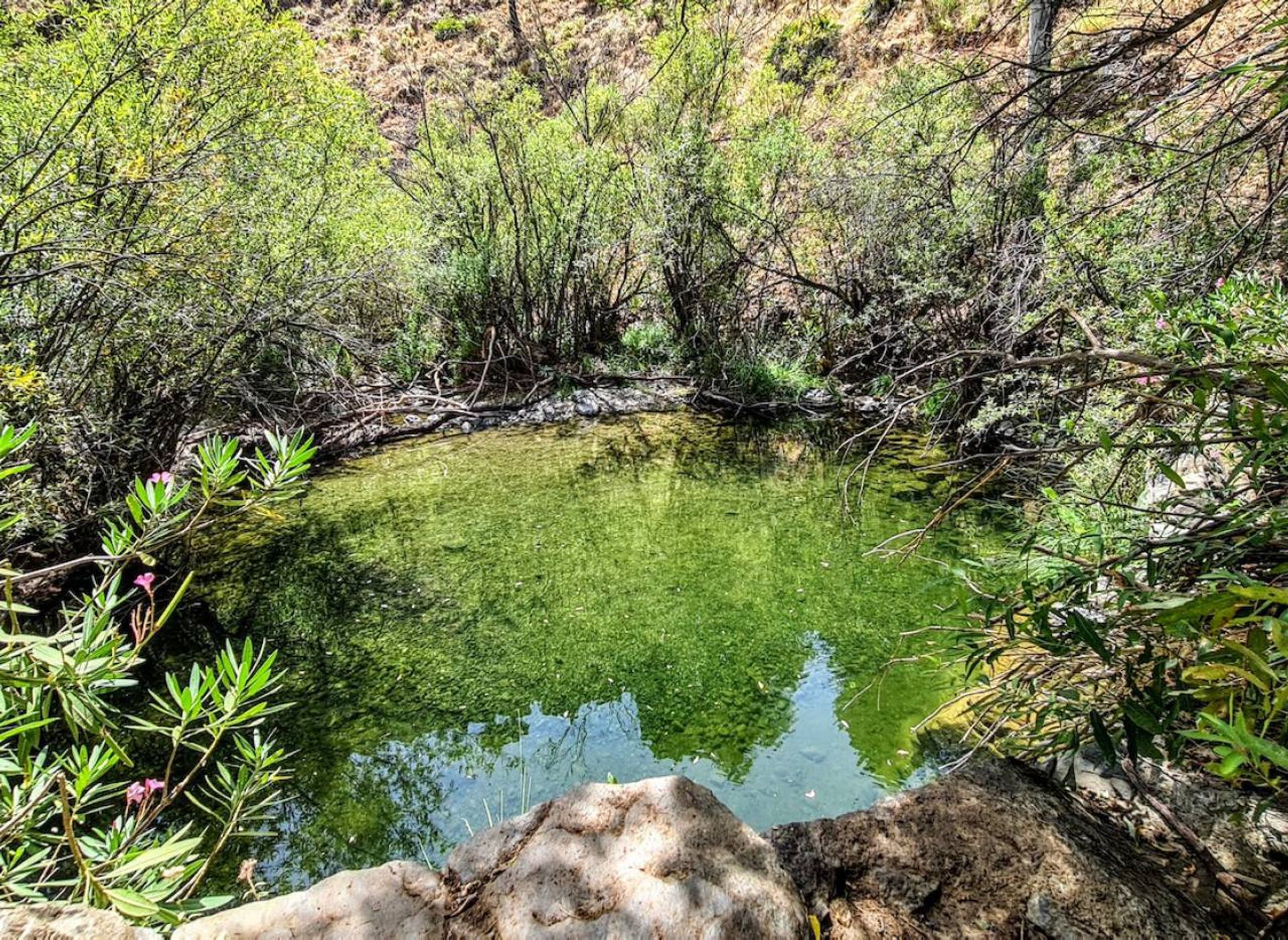 آخر في Tolox, Andalucía 11001386