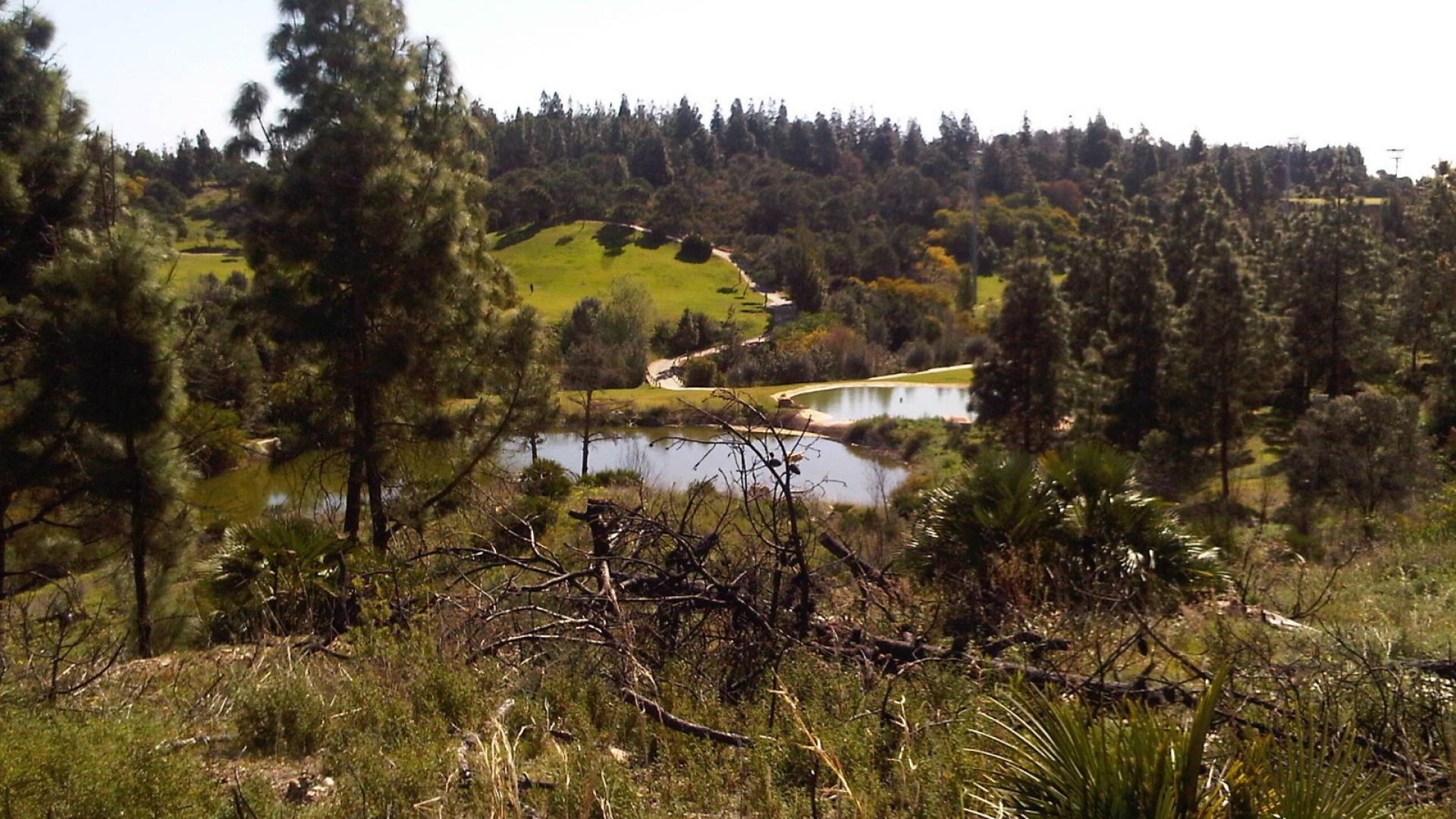 Land im Málaga, Andalucía 11001609