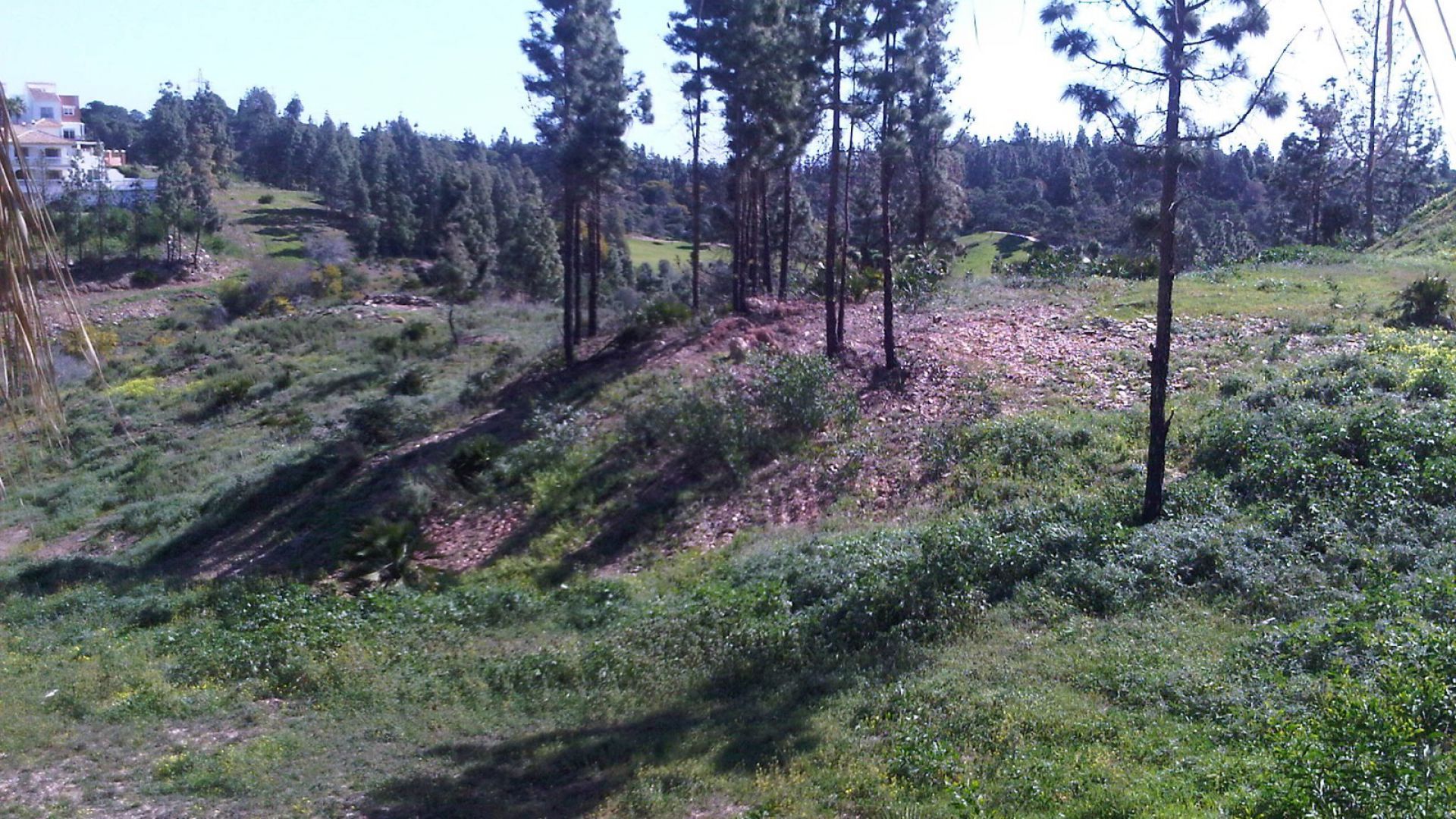 Tierra en Málaga, Andalucía 11001609