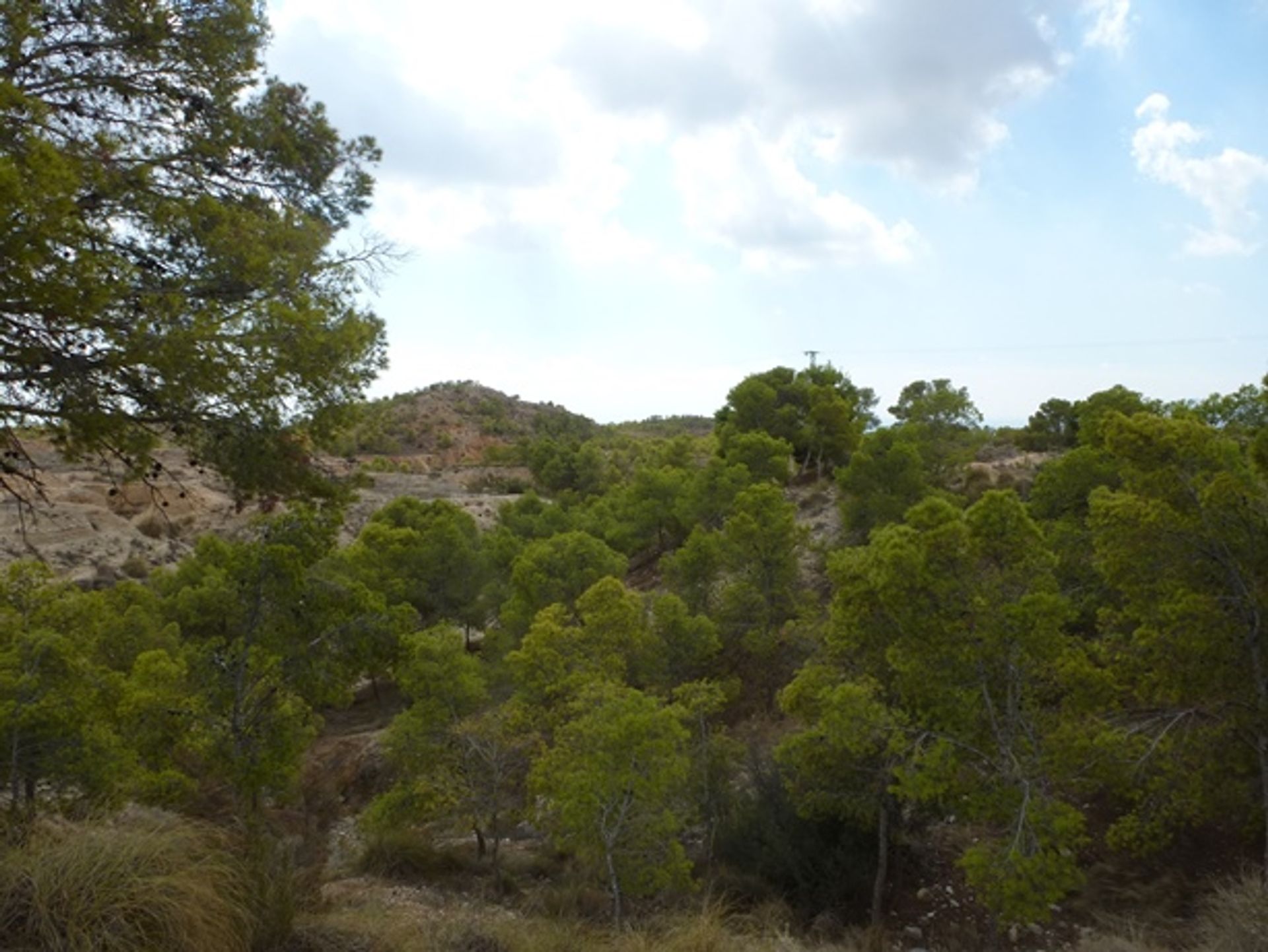 Land im Crevillent, Valencian Community 11001952